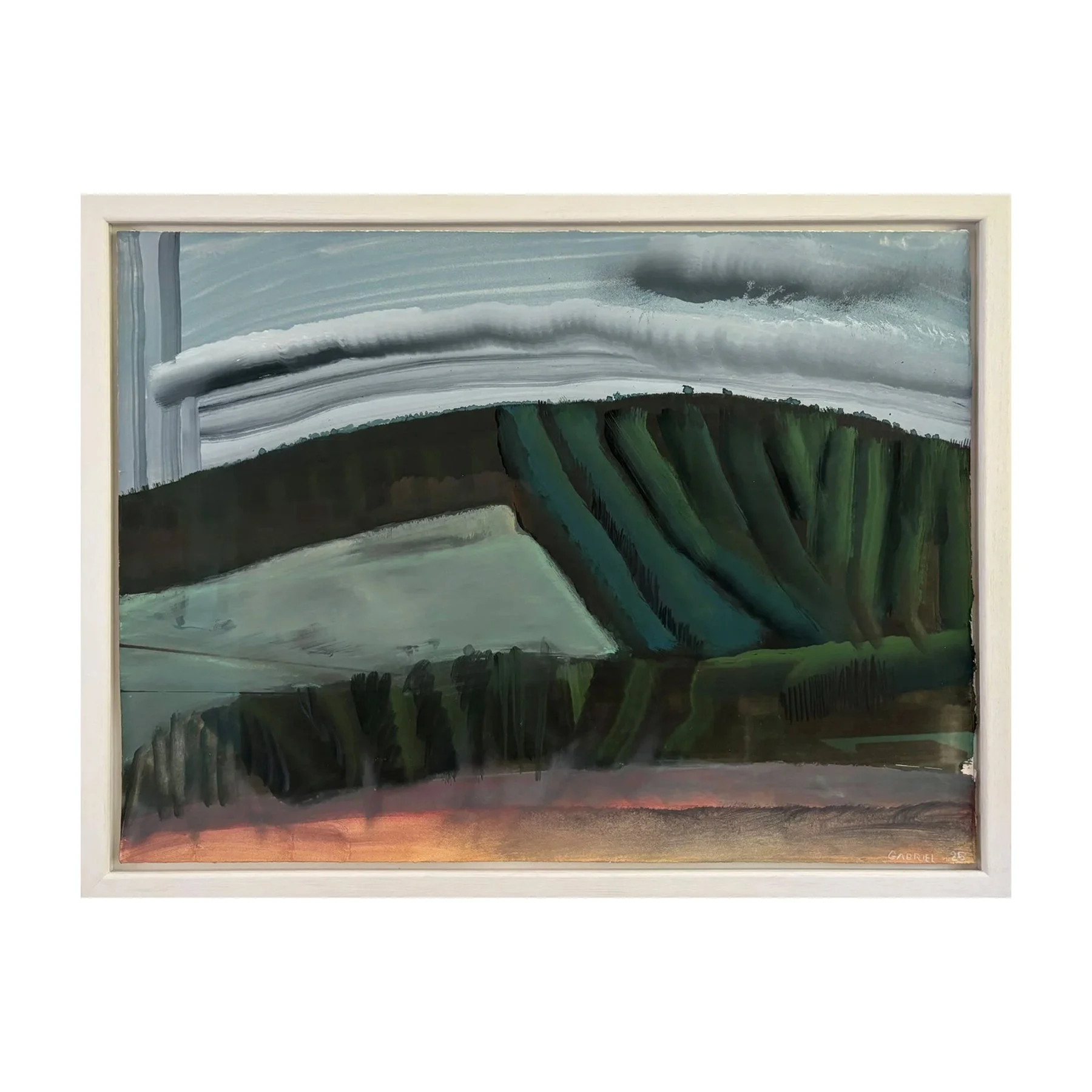 Plantation of Larch and Spruce, Wales