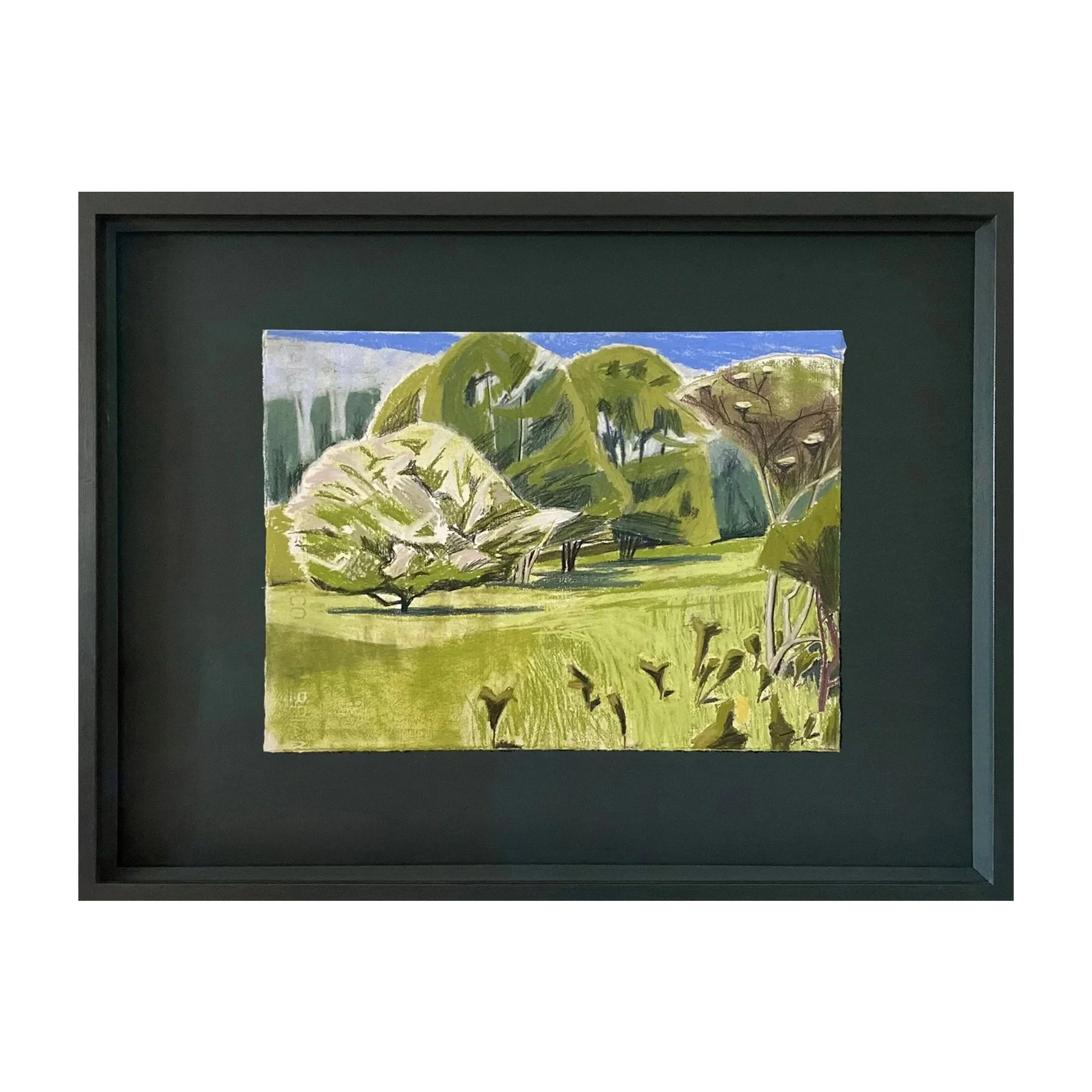 May, Whitethorn, Blackthorn Suckers, Elderflowers