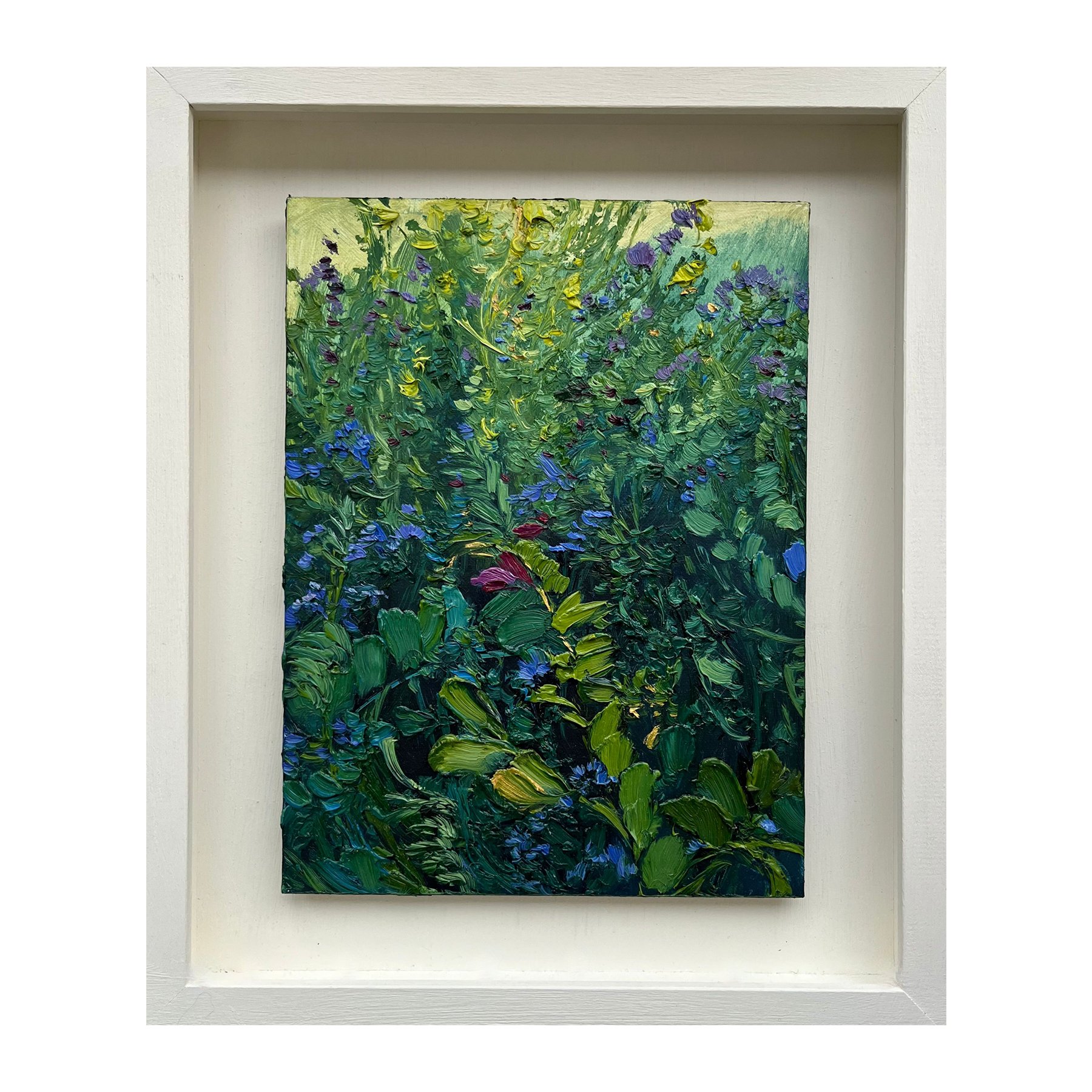 Vetch and Phacelia - Dennington