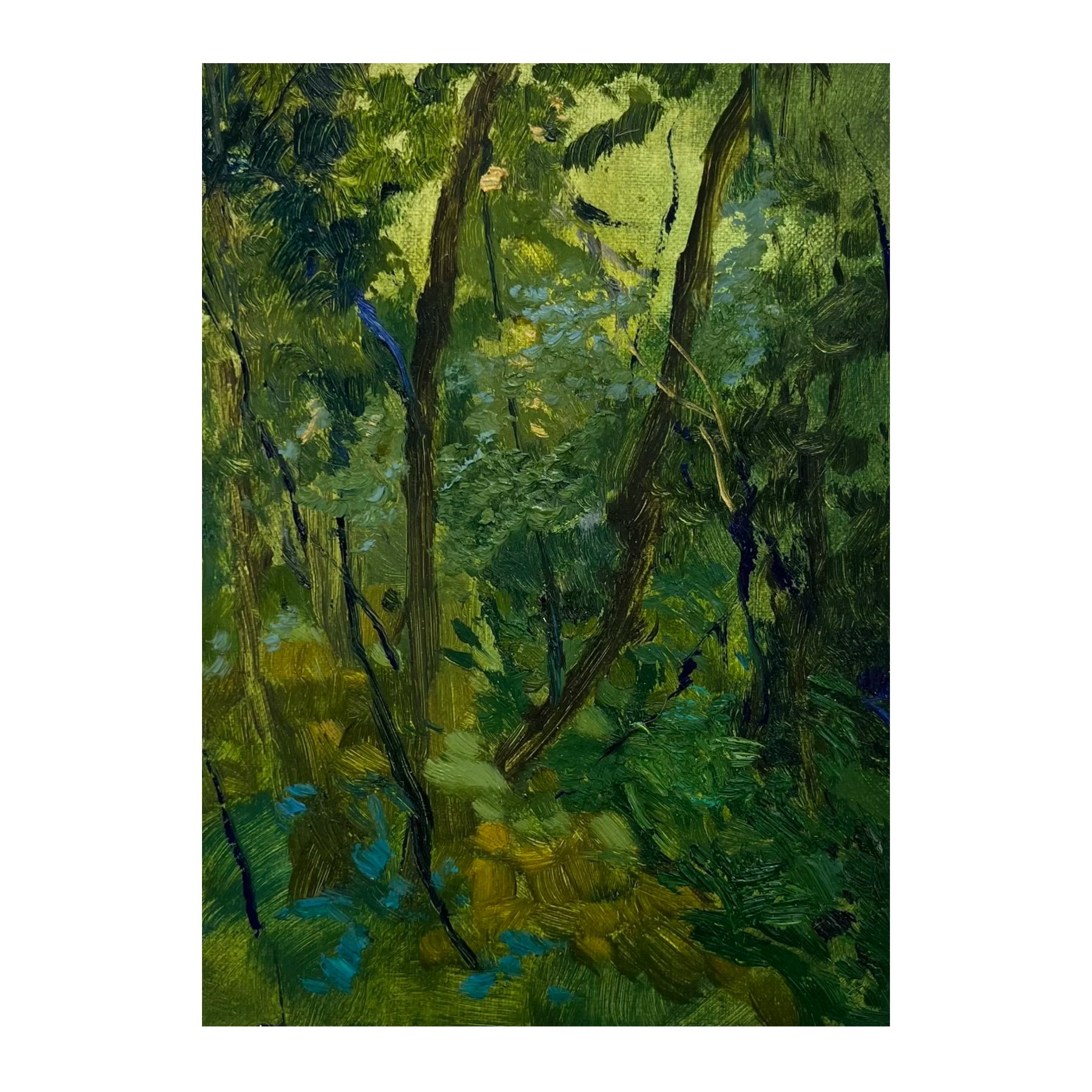 Kepler Track - Fjordland VII