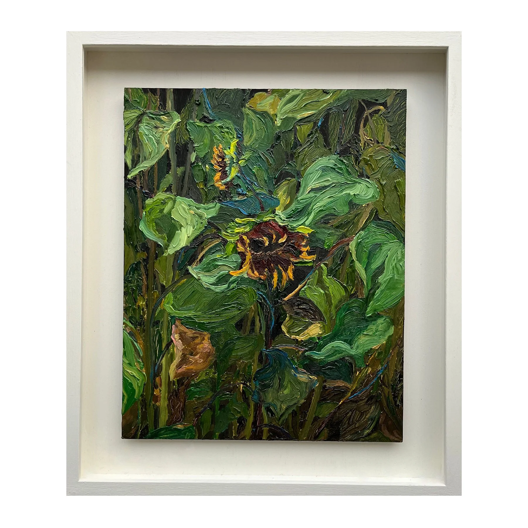 Sunflowers - Dennington