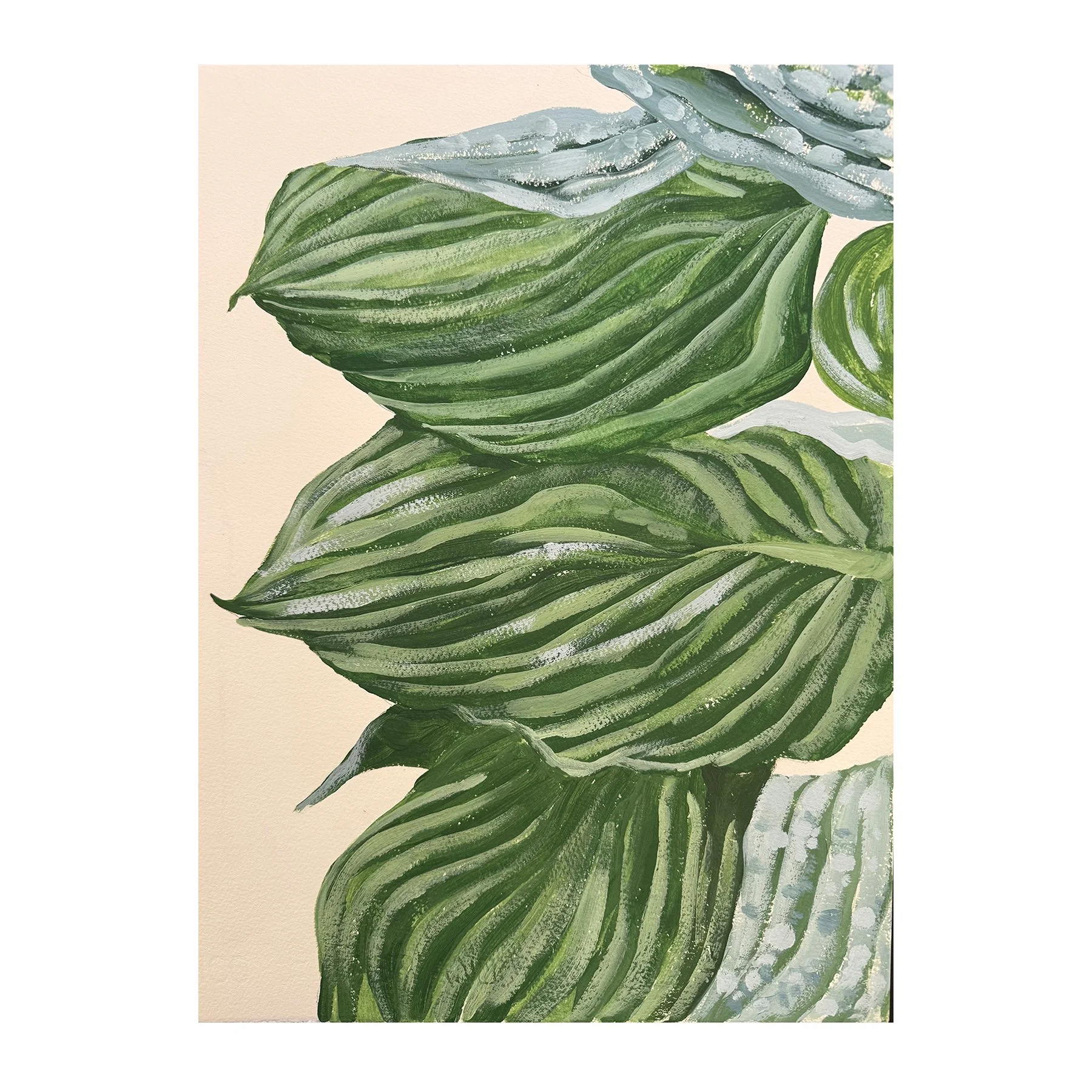Endellion Lycett Green
Hosta Leaves
Oil on paper
51 x 40 cm
£1,200