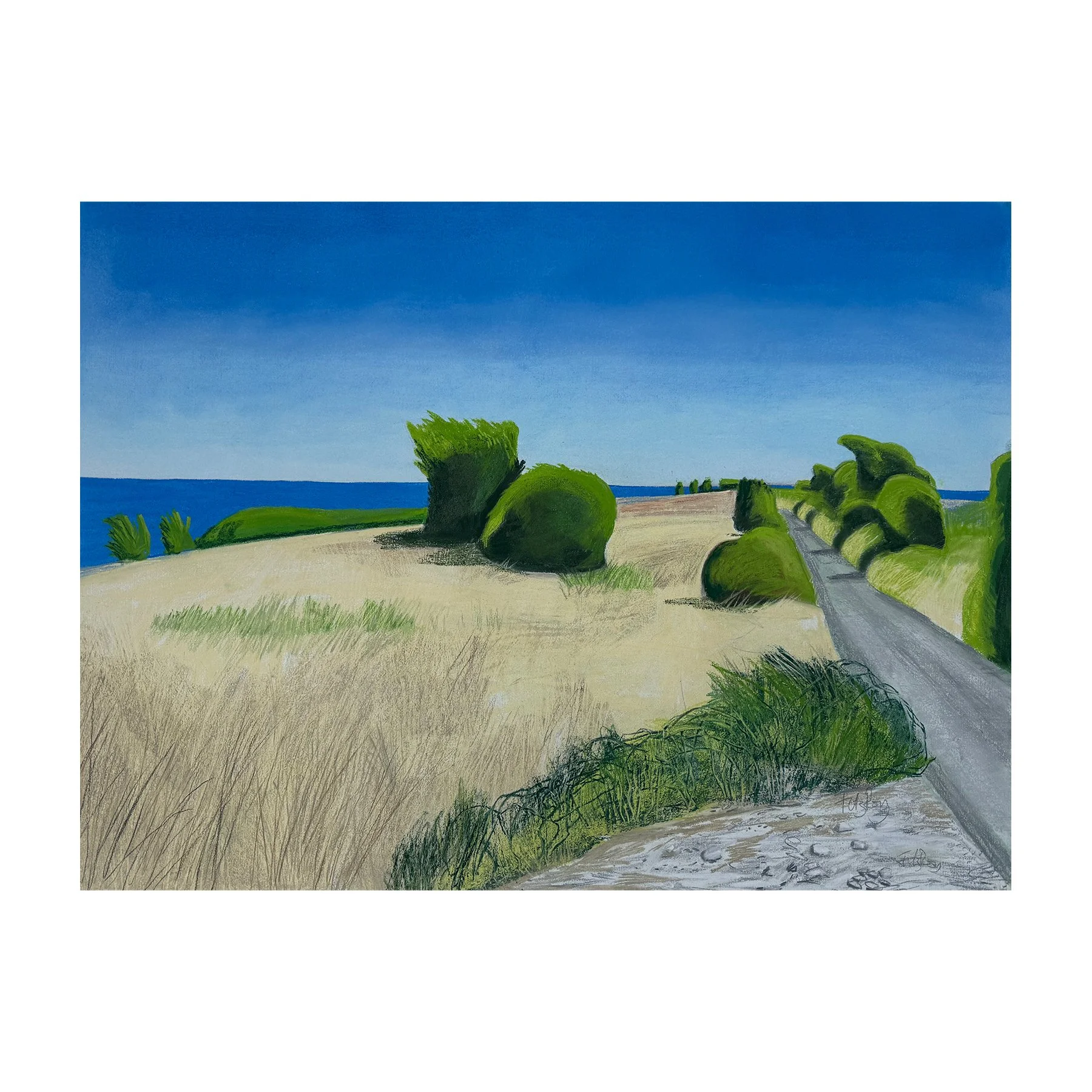 Culver Down. Above Benbridge.