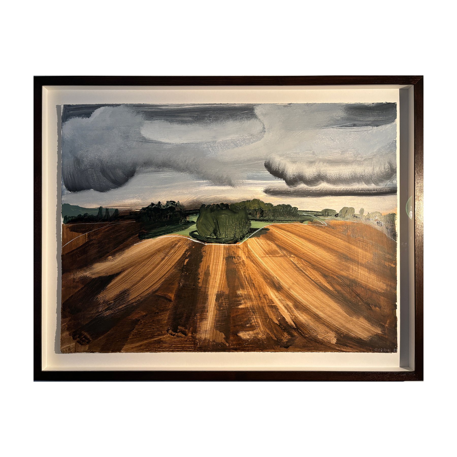 Spinney in Ploughed Field