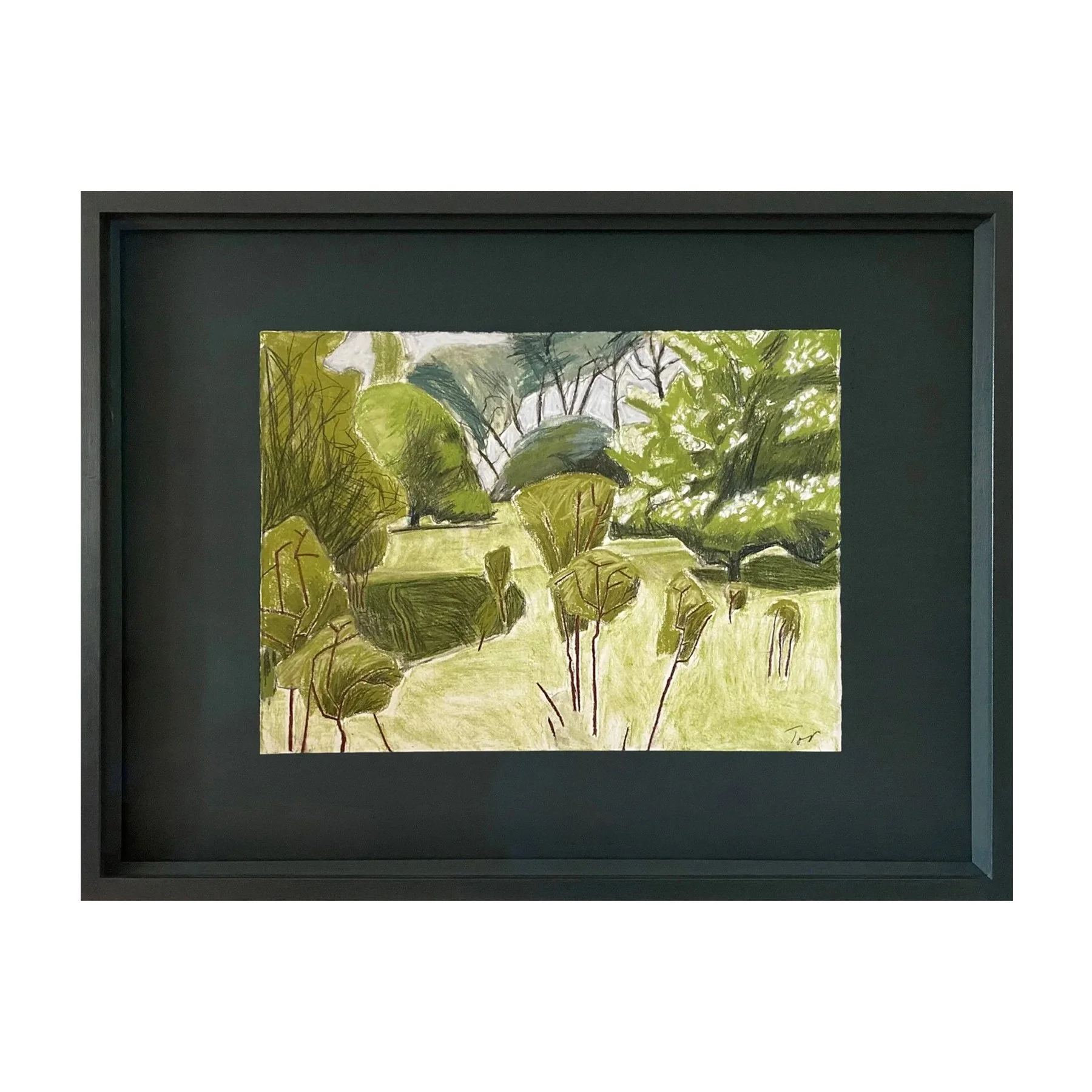 May. Blackthorn Suckers.