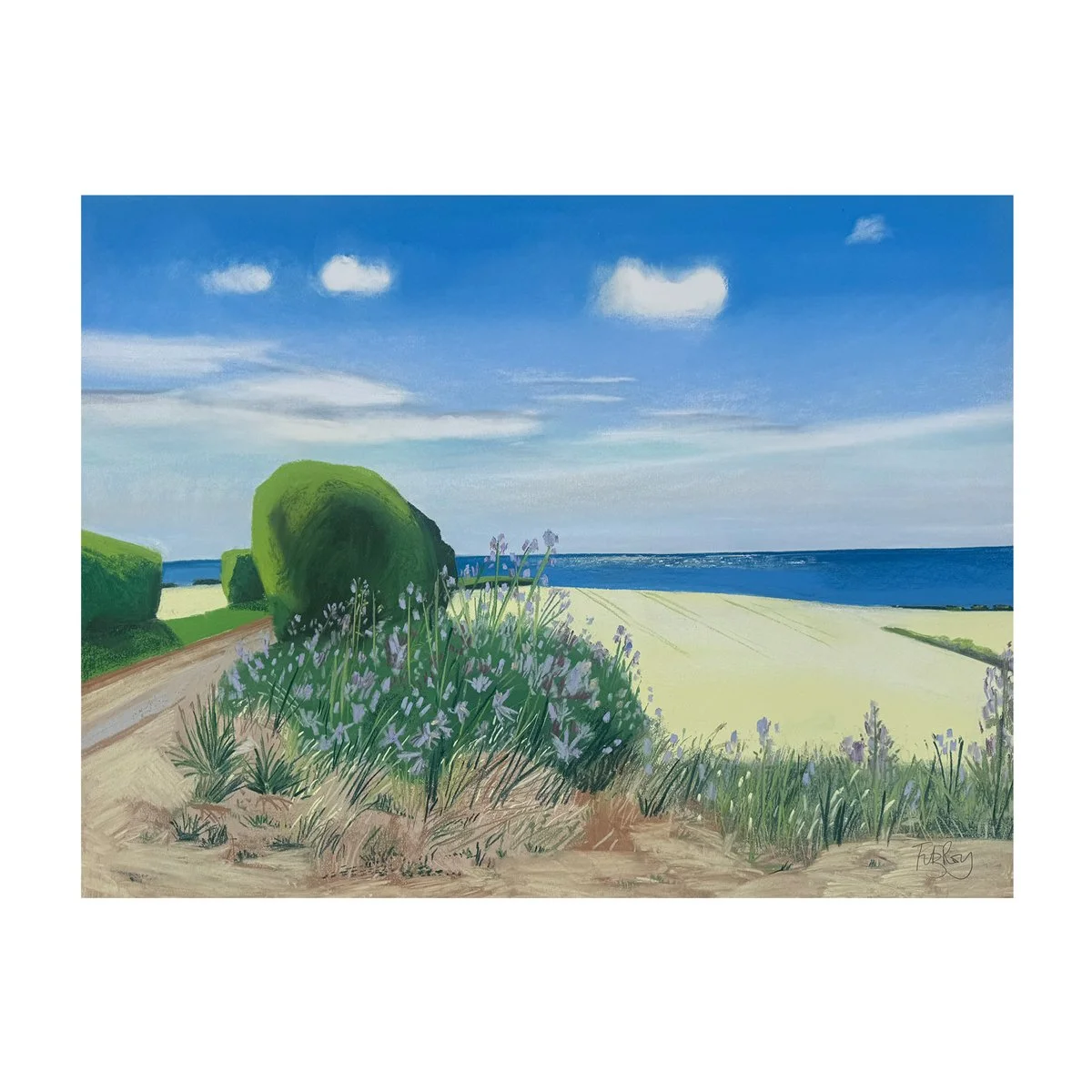 Mallow, Above Titchwell