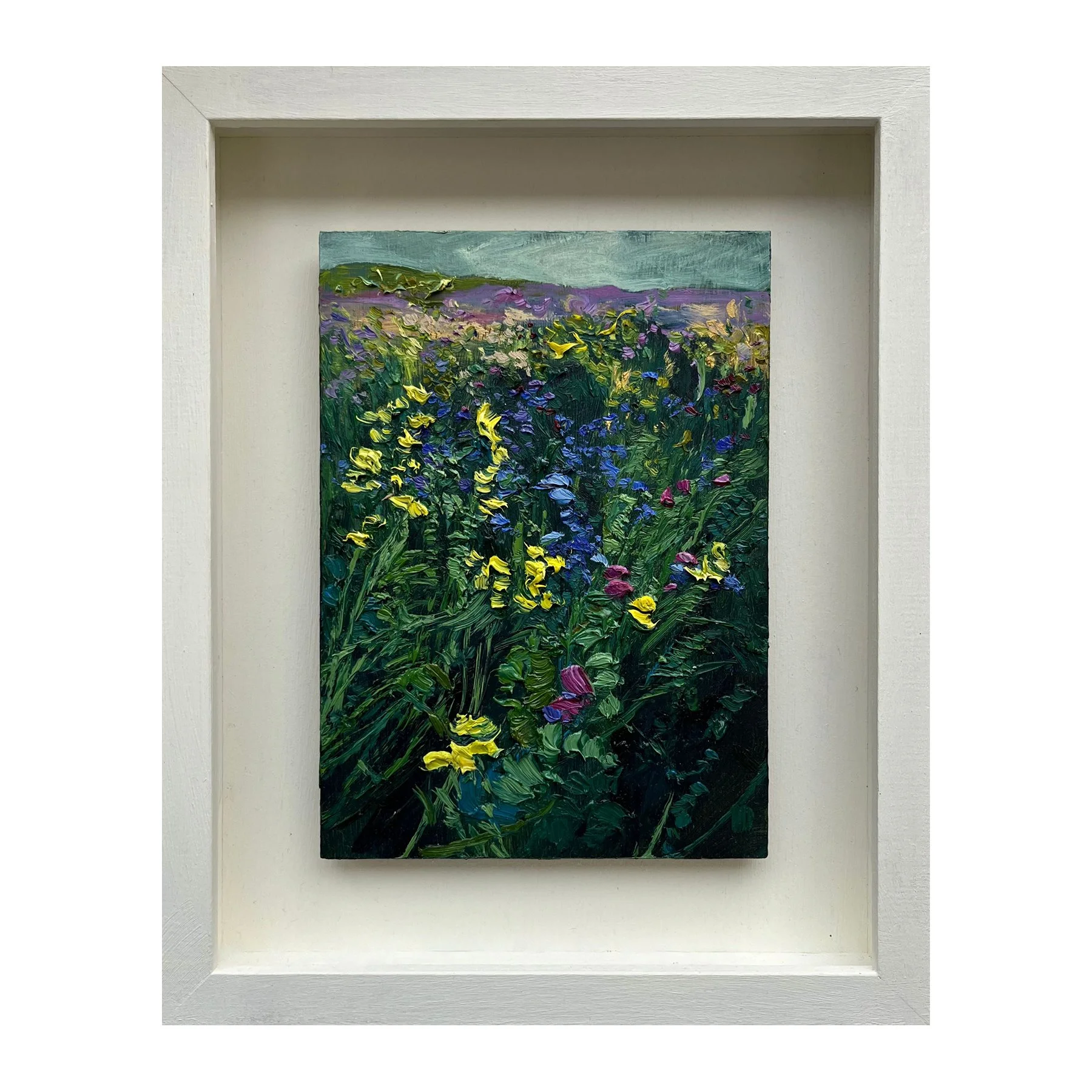 Vetch and Phacelia - Dennington III