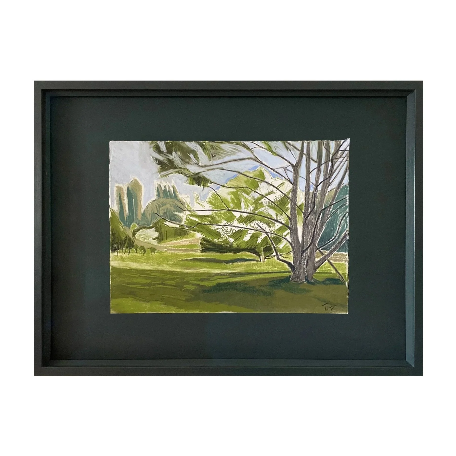 May. Alder, Whitethorn, Poplars.