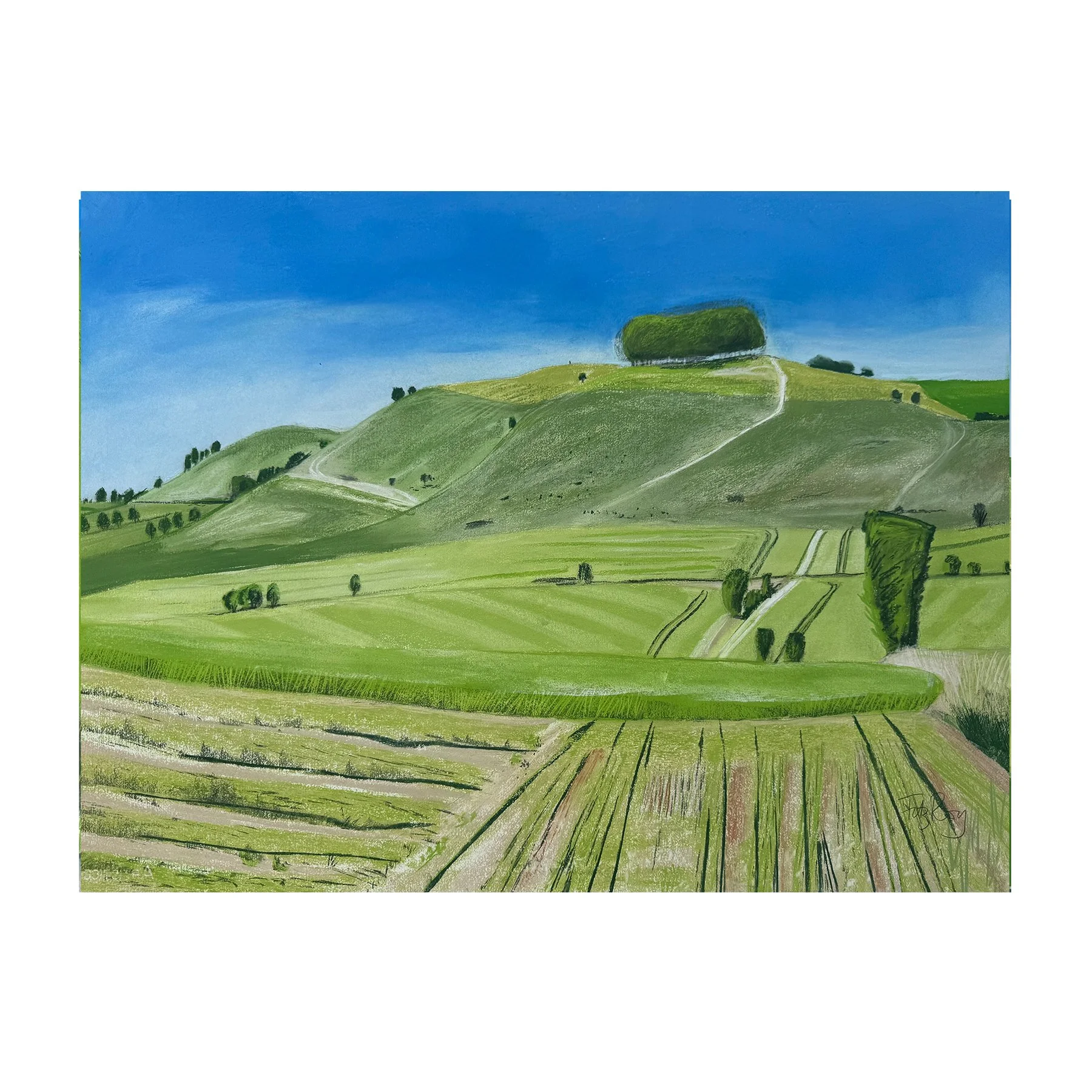 Site of the Battle of Roundway. Bishops Canning.