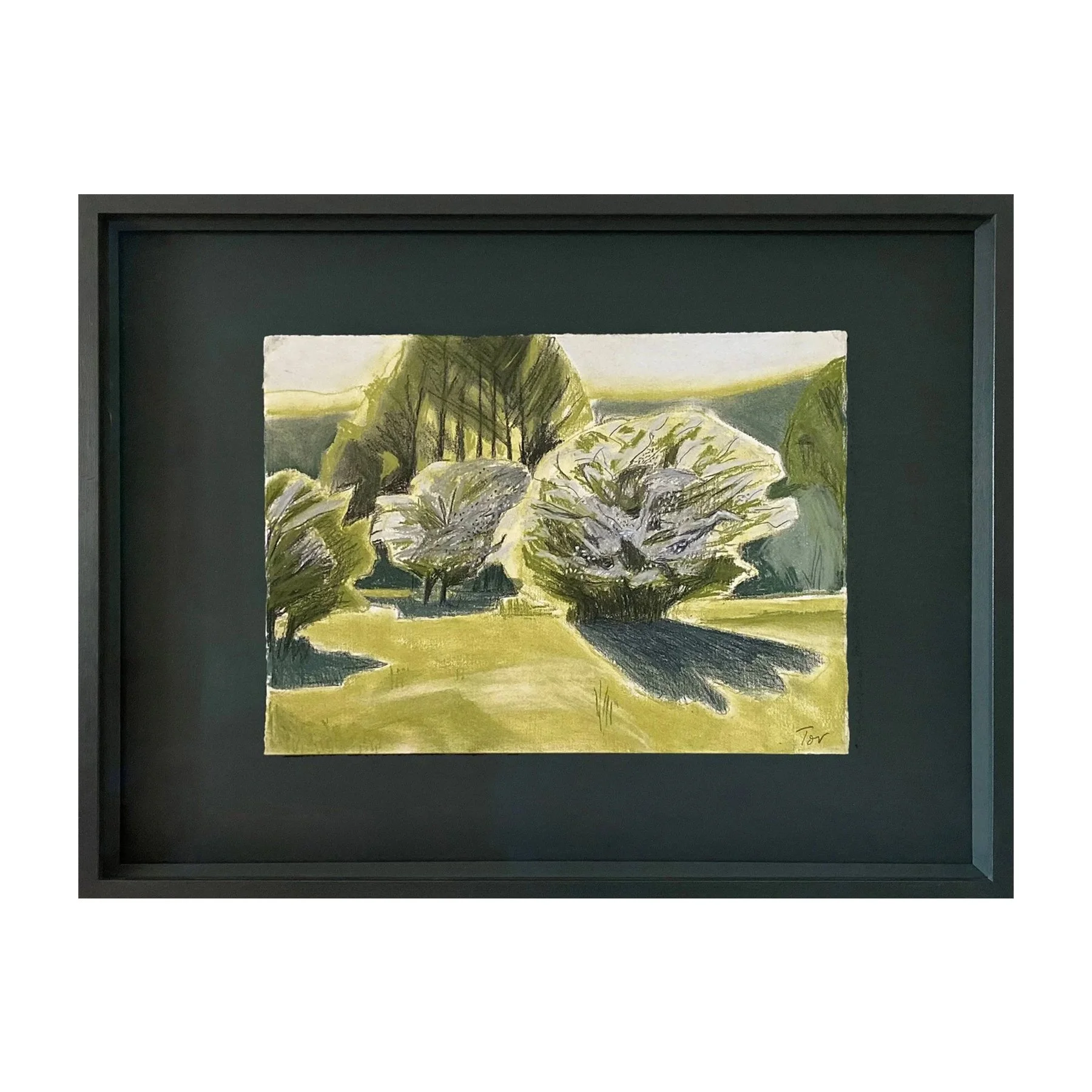 May, Morning, Whitethorn Blossom, Shadows