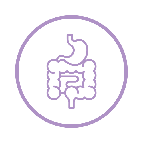 Outline drawing of human digestive system, including stomach and intestines, in purple inside a circle.