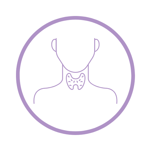 Outline illustration of a person's neck and throat with a purple thyroid gland.