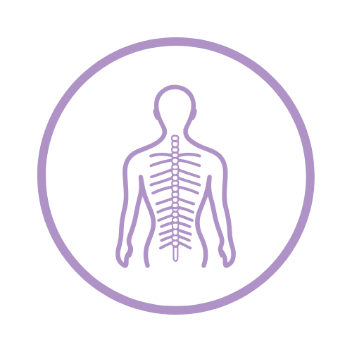 Outline of a human skeleton in purple inside a circle.