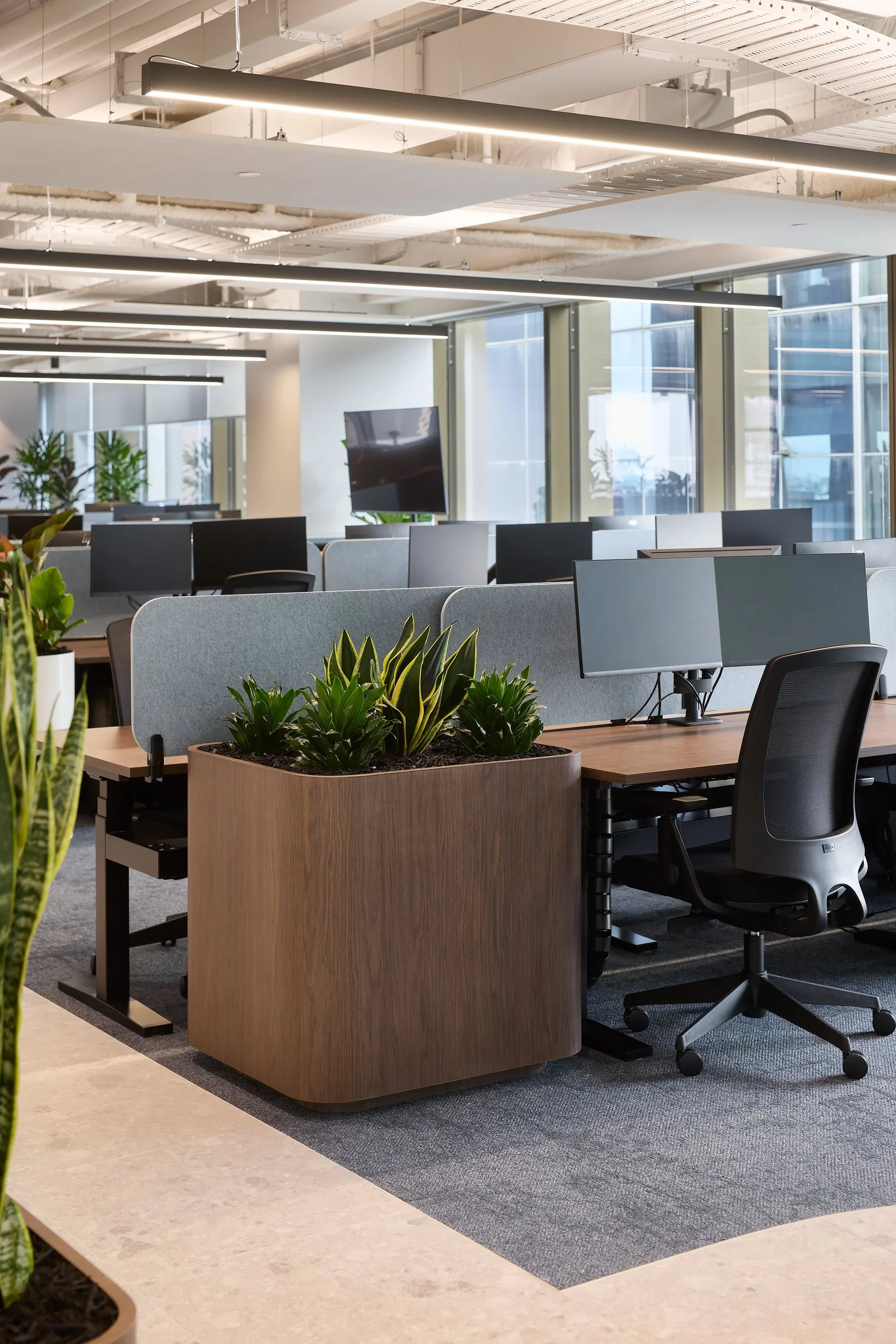 BDH Office 8.jpg
