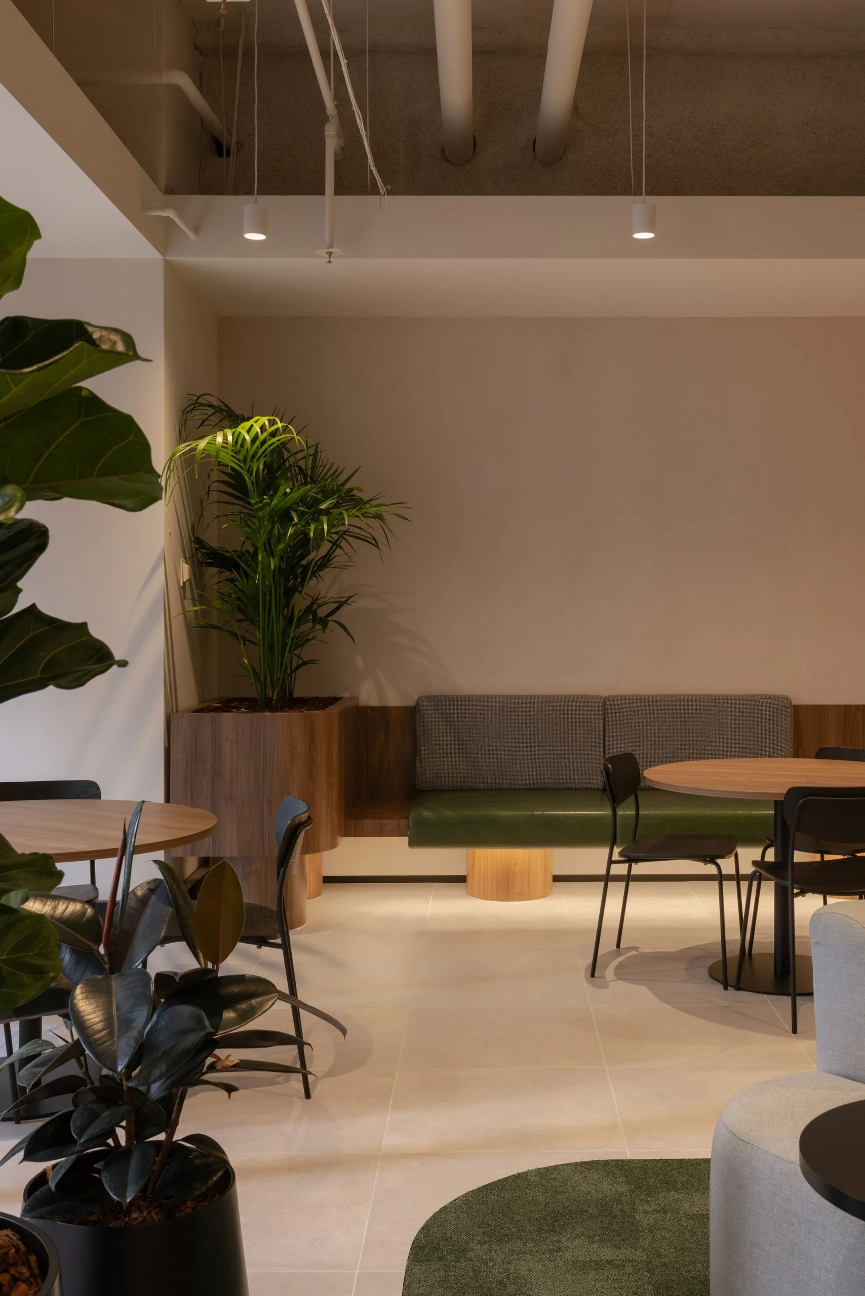 Silverman Workplace 4.jpg