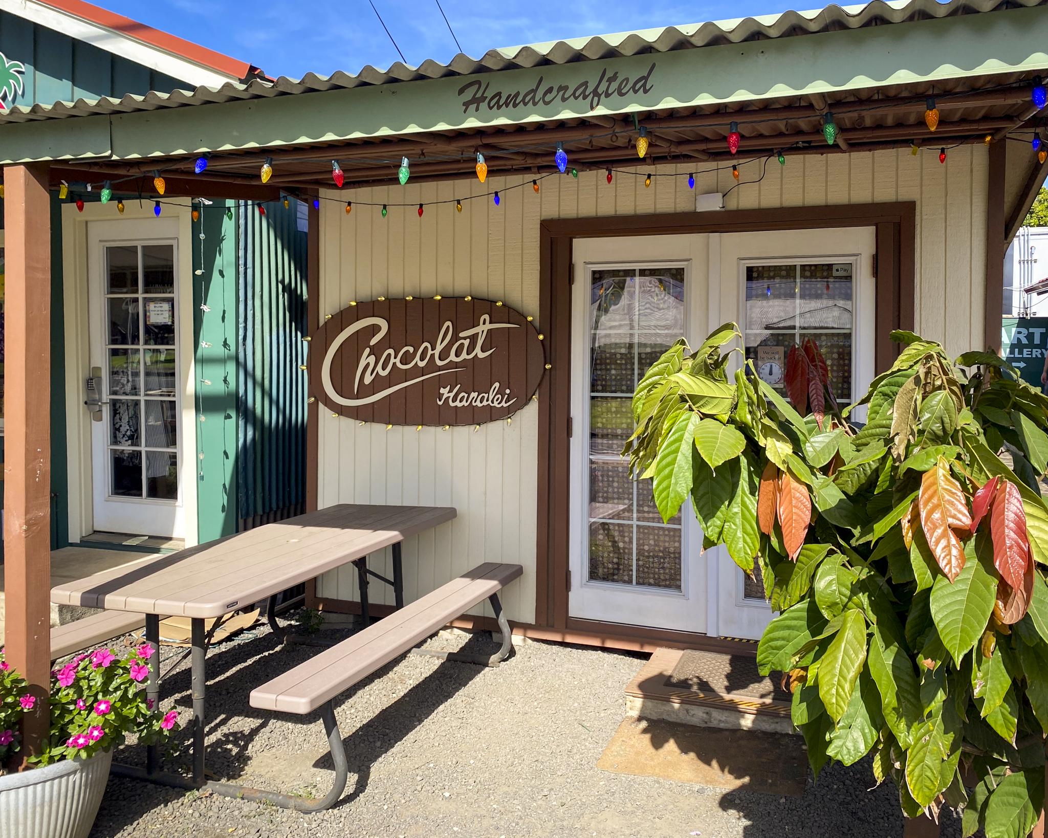 Chocolate Hanalei.png