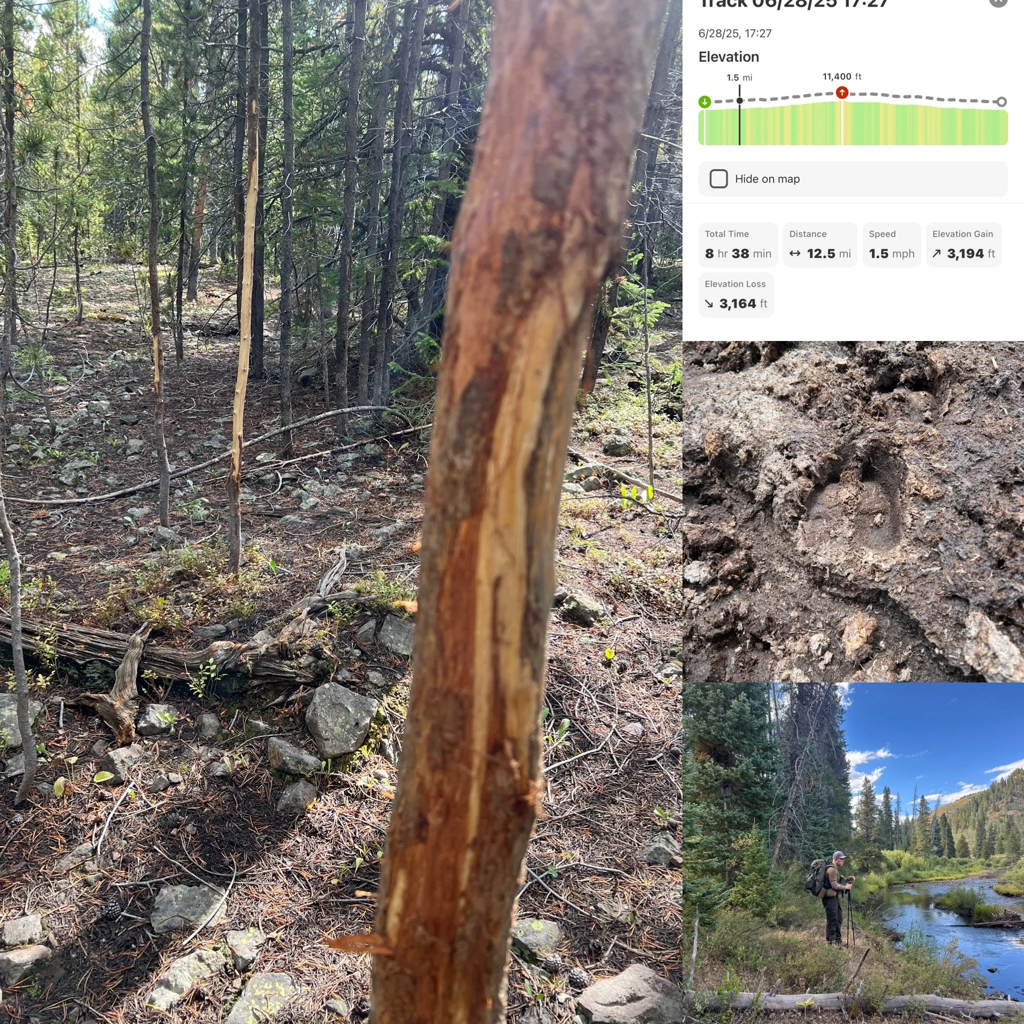 A forest scene with a trail, trees, and rocks. An inset of trail stats showing 8 hours 38 minutes elapsed, 12.5 miles distance, 1.5 mph speed, and 3,164 feet elevation loss. Another inset shows close-up dirt with animal paw prints. A smaller image of a hiker with a backpack standing near a river in a mountainous forest.