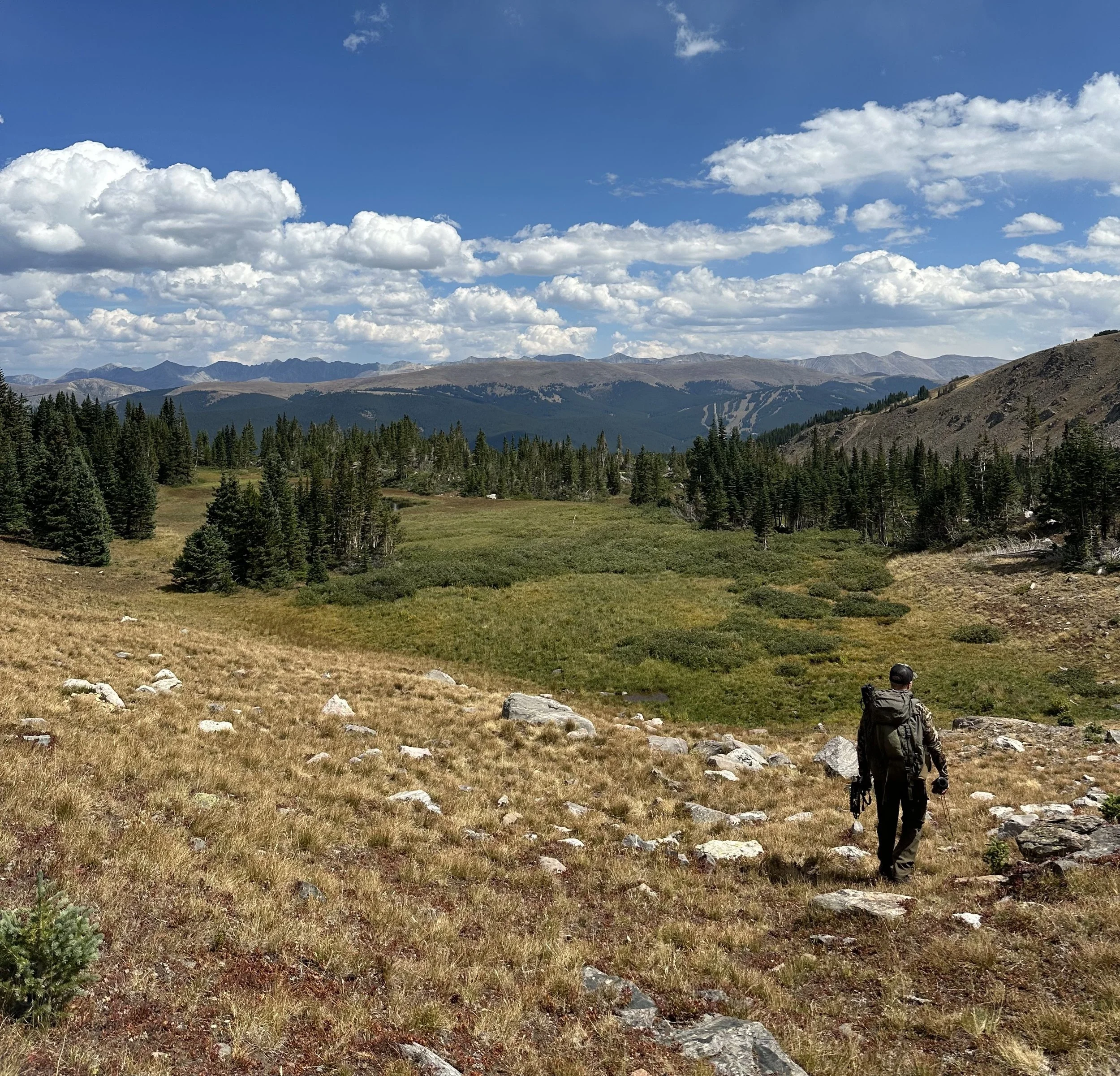 A person hiking in a mountainous landscape with grassy fields, evergreen trees, and a backdrop of mountains and a partly cloudy sky.