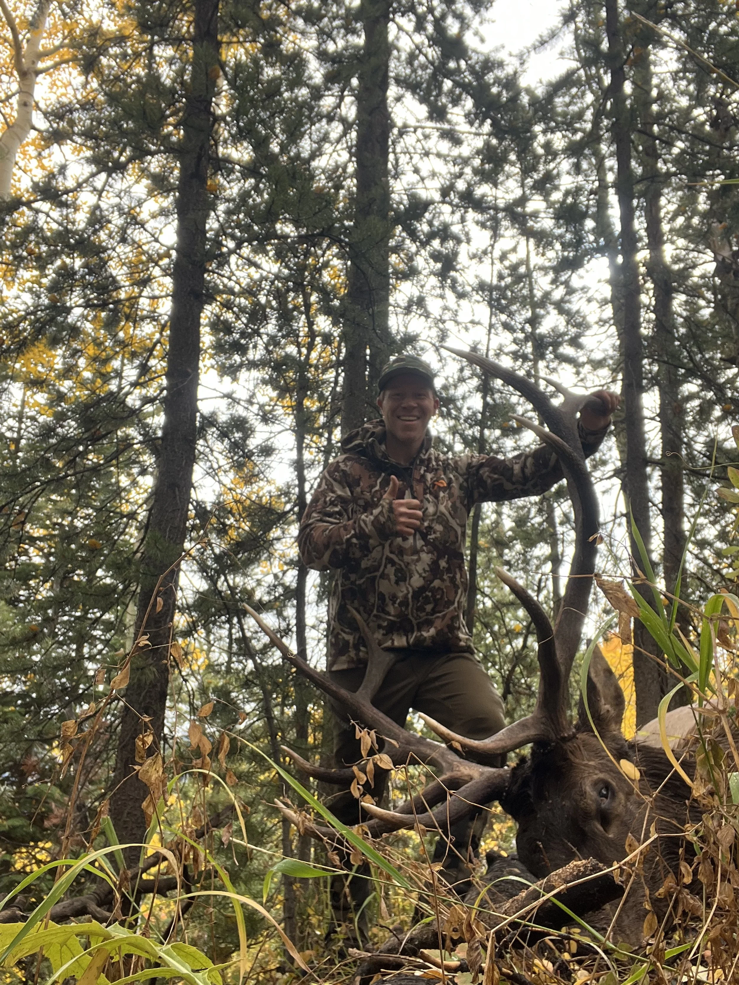 A man in camouflage clothing standing in a forest, holding a large elk with impressive antlers, smiling and giving a thumbs-up.
