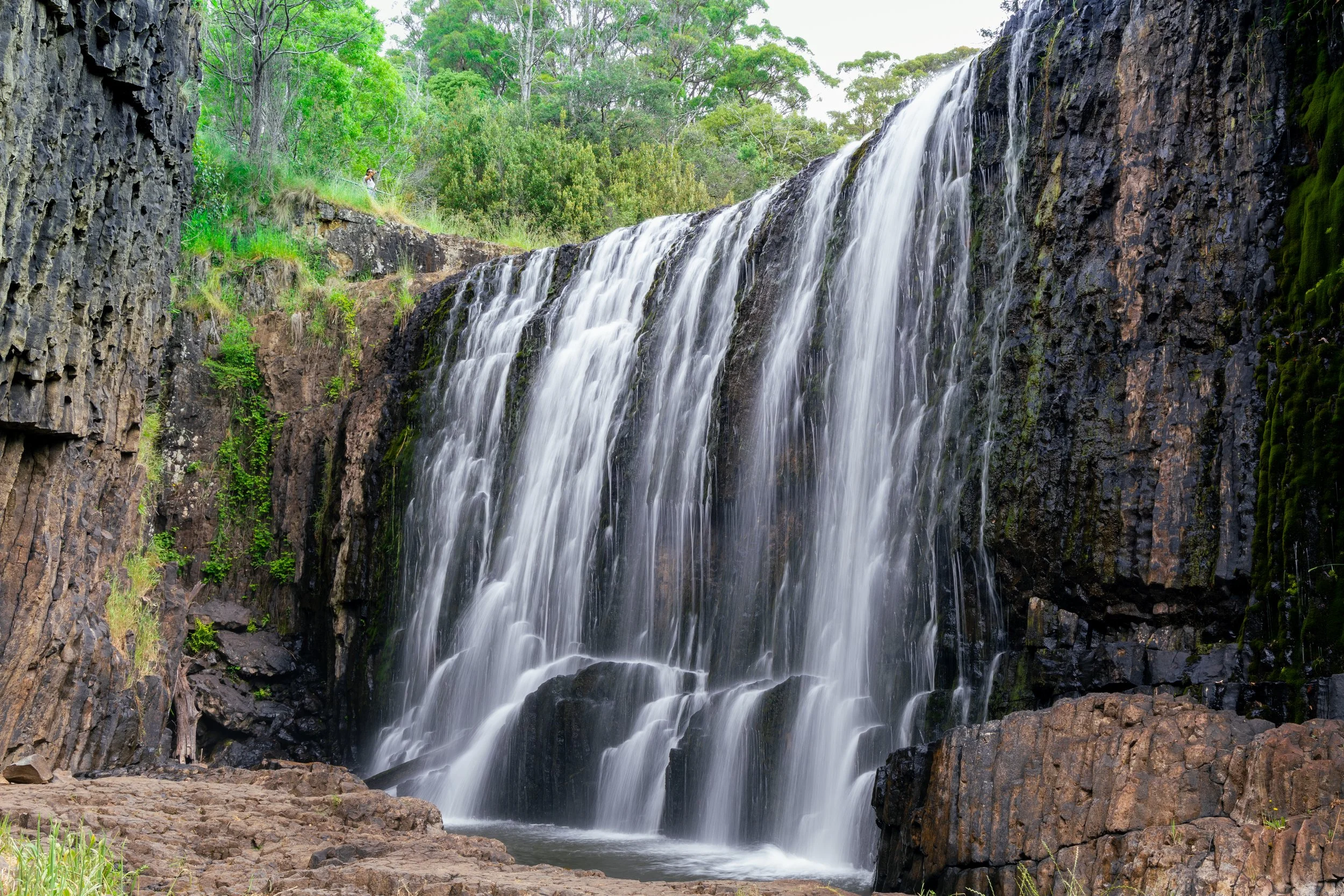 Guide Falls, Tasmania