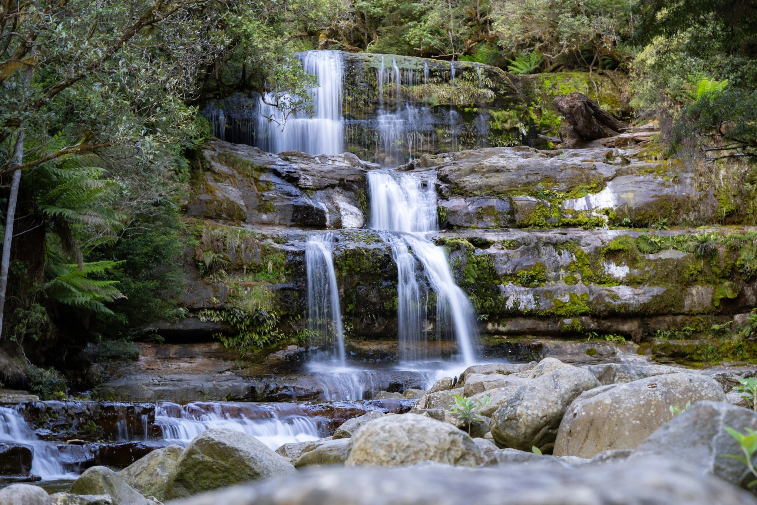 Liffey Falls, Great Western Tiers, Tasmania