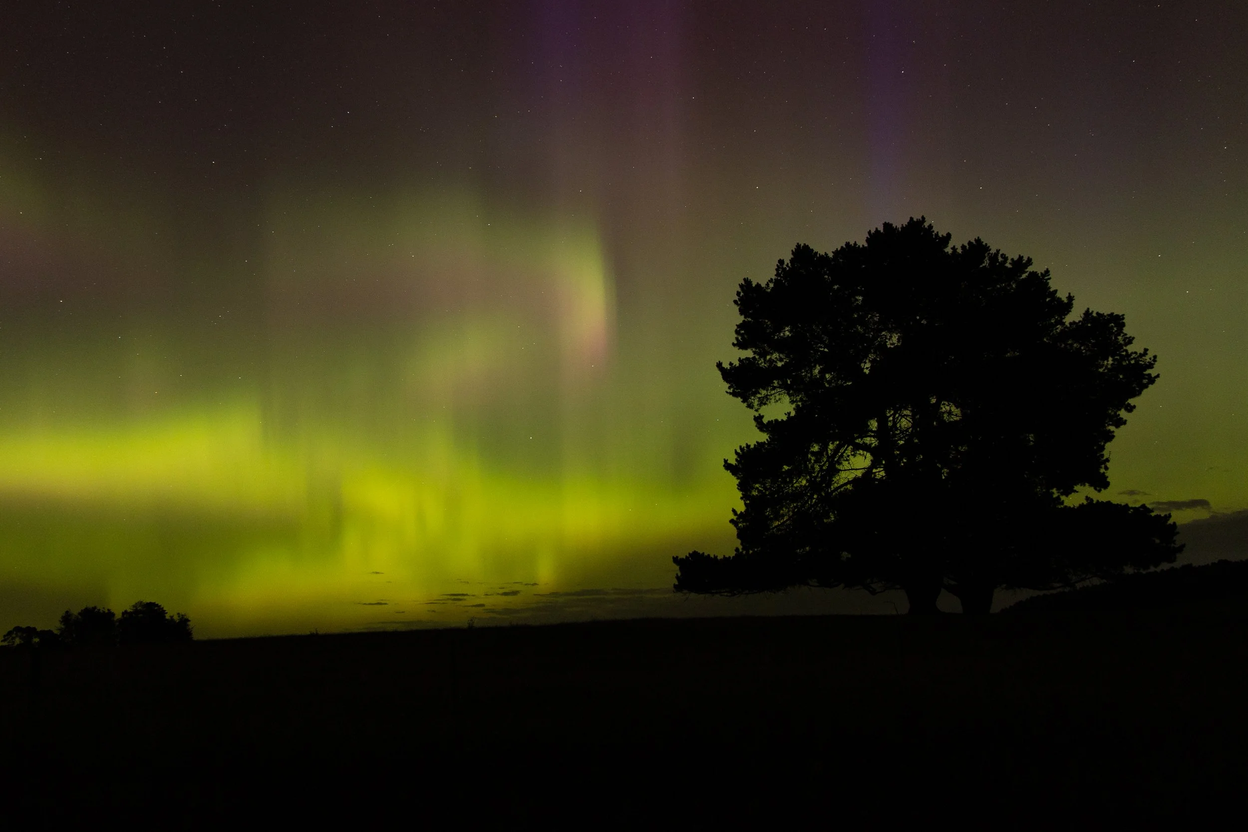 Aurora Australia, Rosevale, Tasmania. 21 Jan 2026