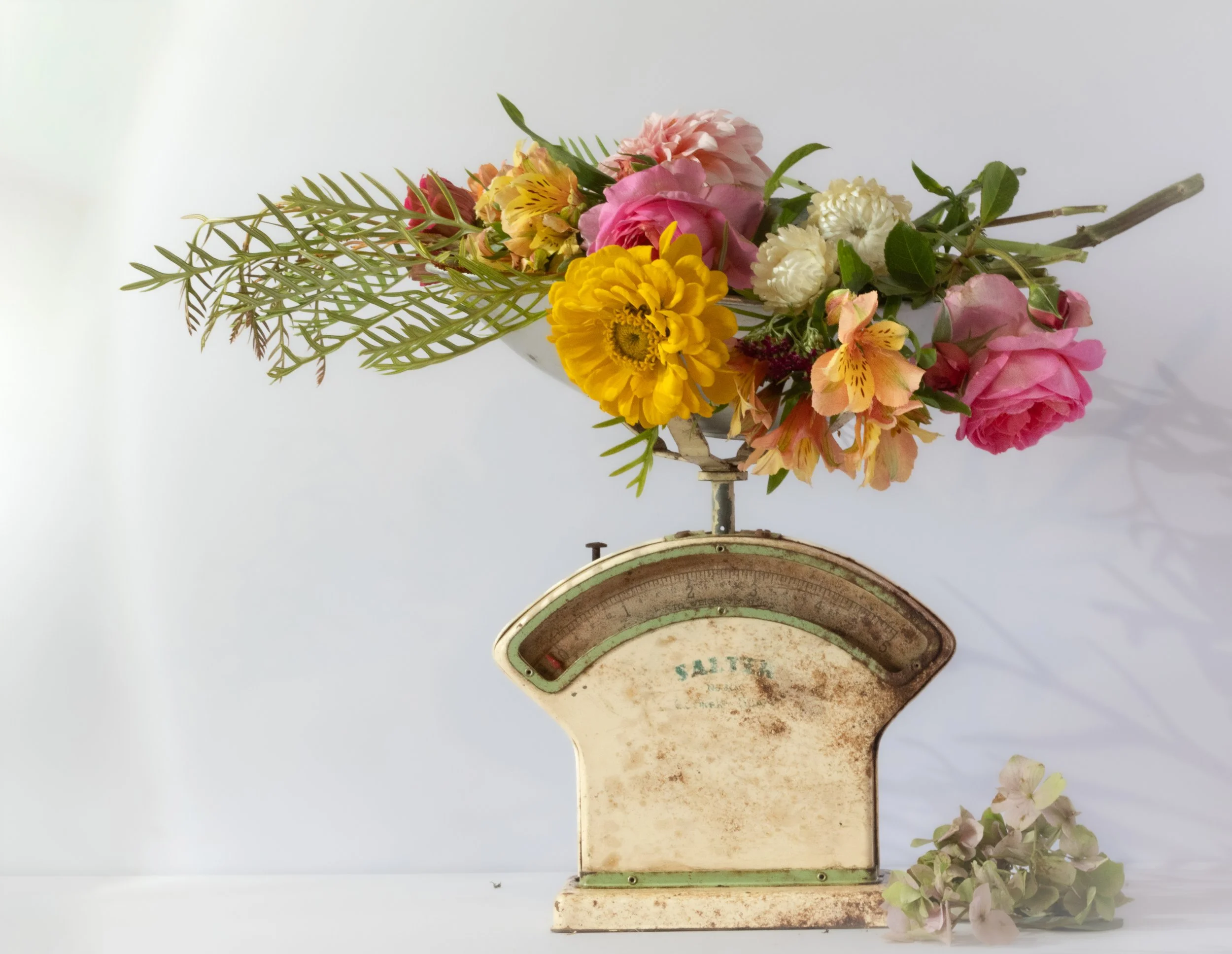 Vintage, flowers, timeless scales