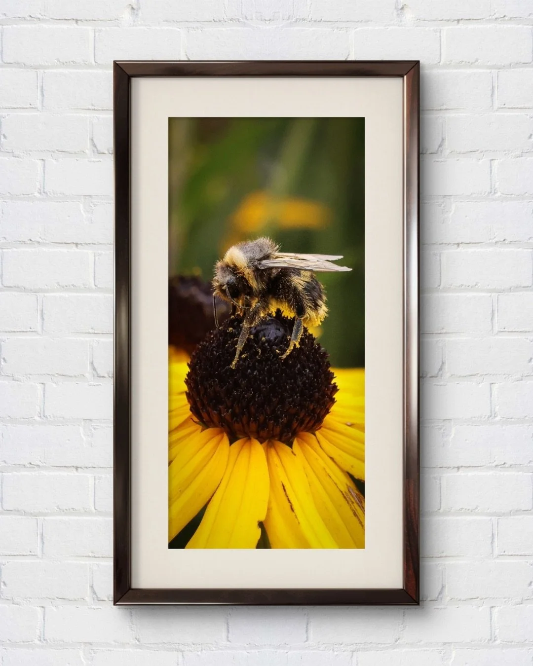 Small Wings, Big Ambitions
