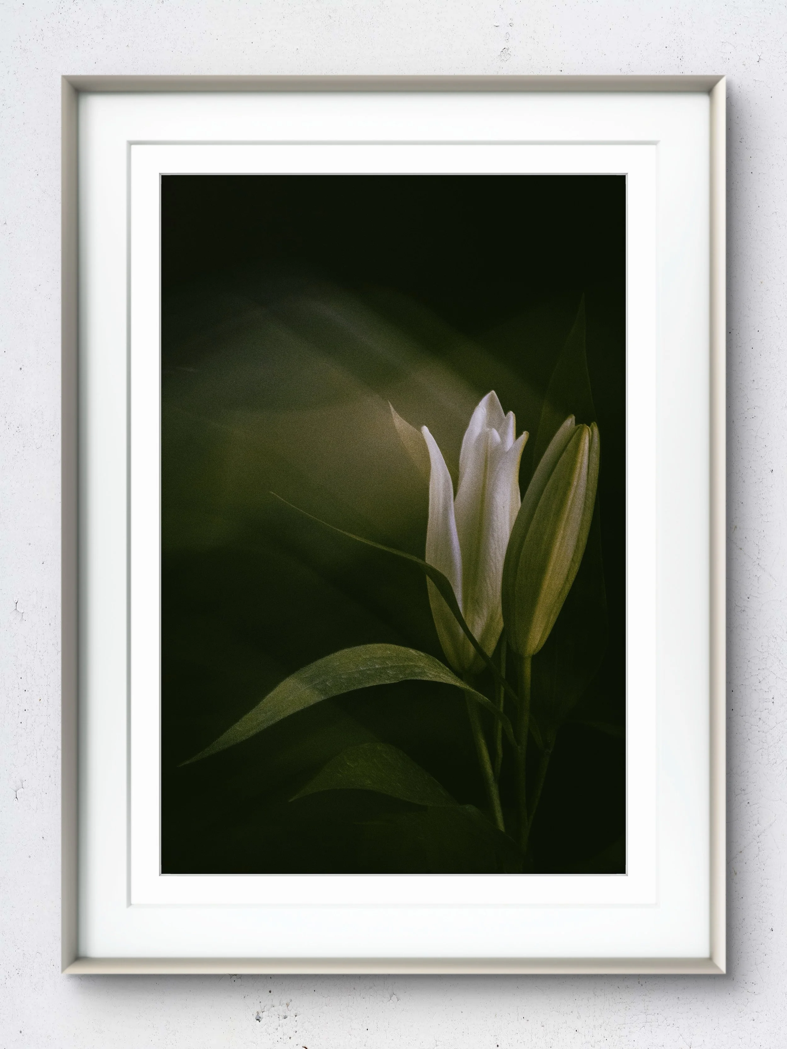 Whispering Light