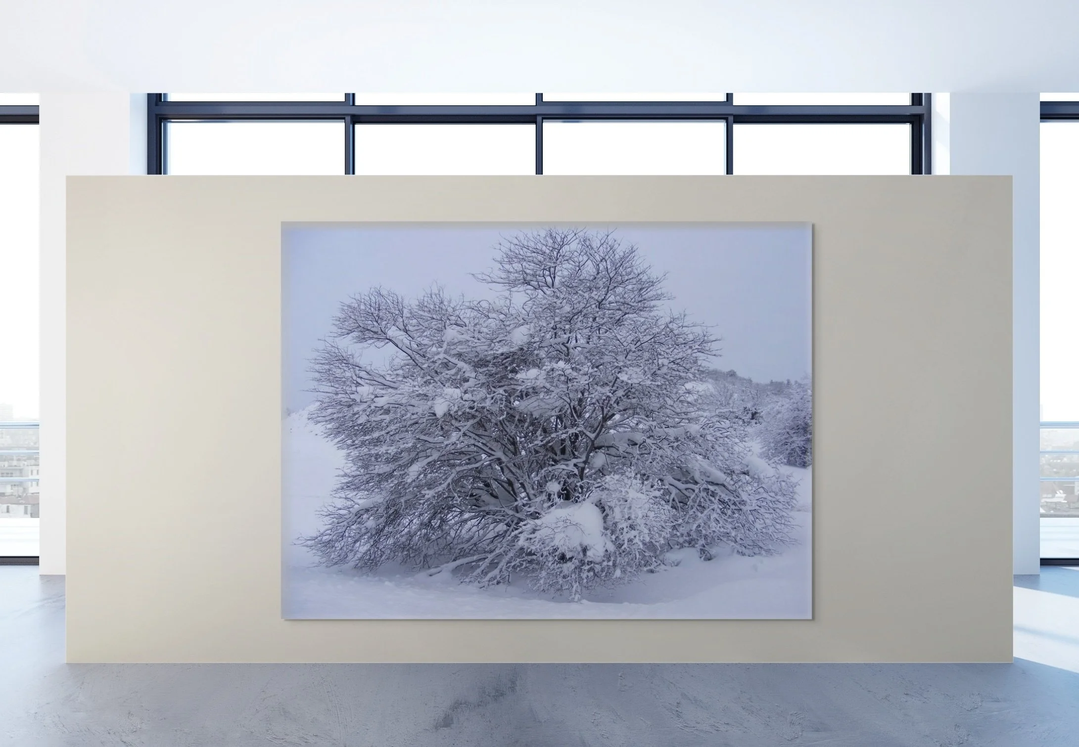 A large indoor photograph of a snow-covered tree, displayed on a white panel in an art gallery with large windows and a modern minimalist interior.