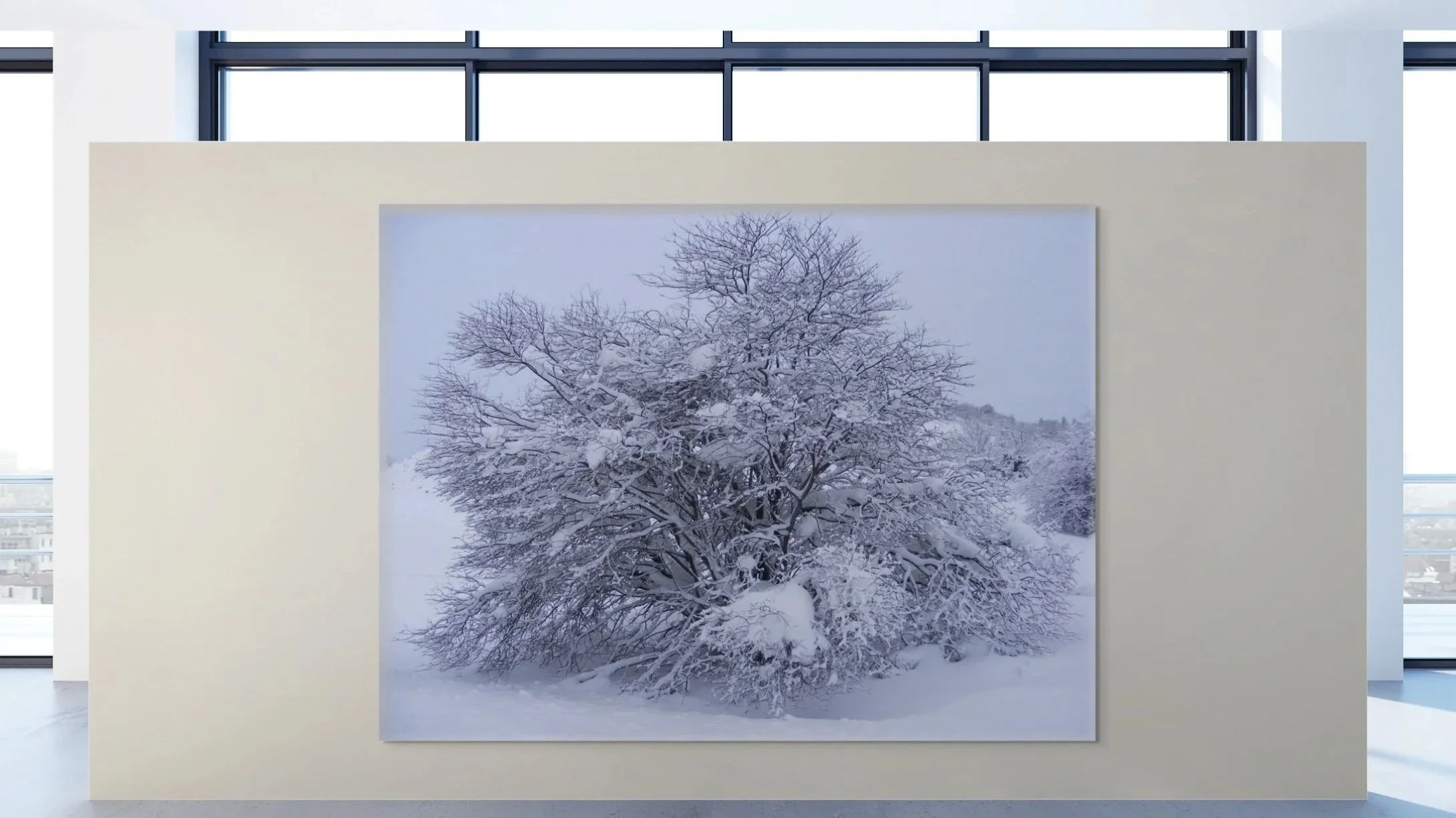 Photograph of a snow-covered tree with bare branches, displayed on a white wall in a gallery or museum with large windows in the background.
