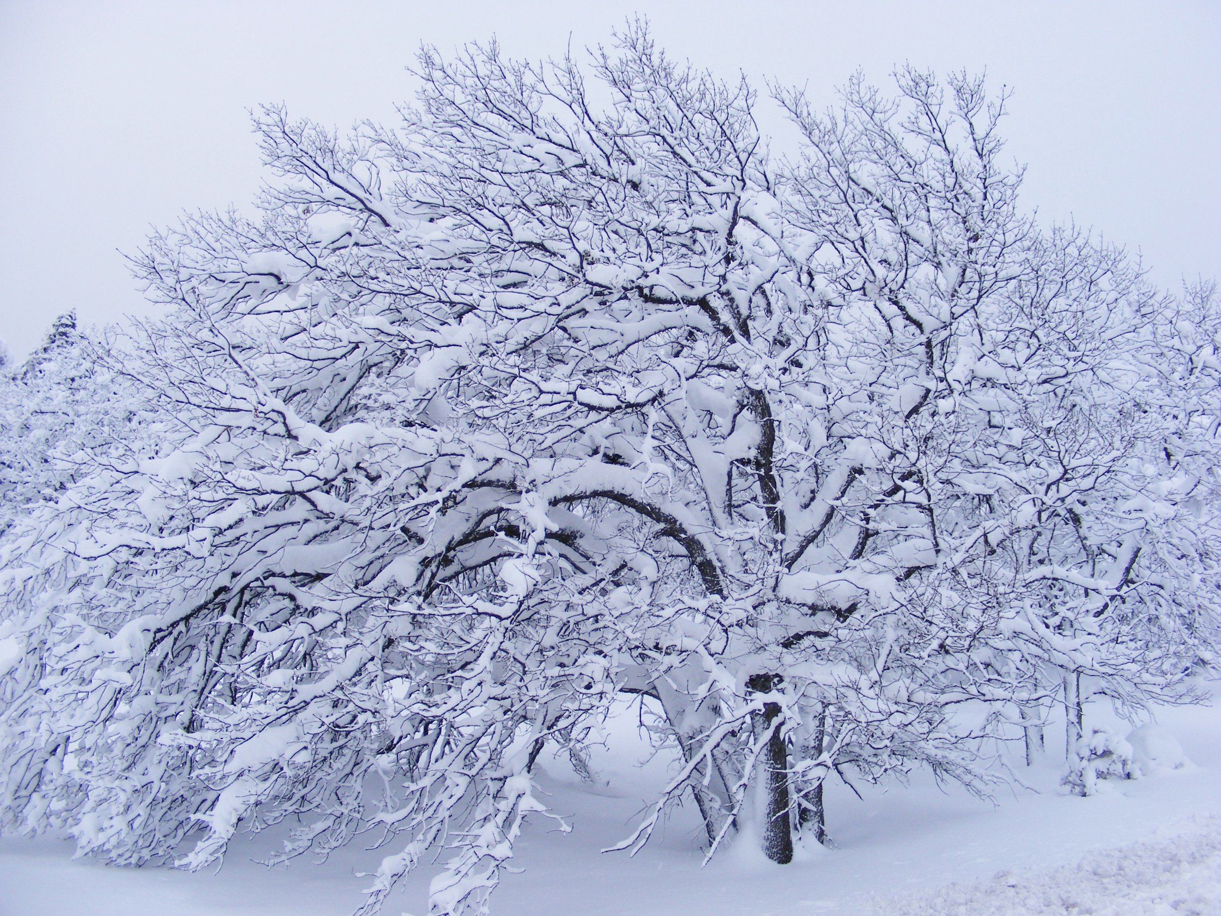 DSCF0838.JPG