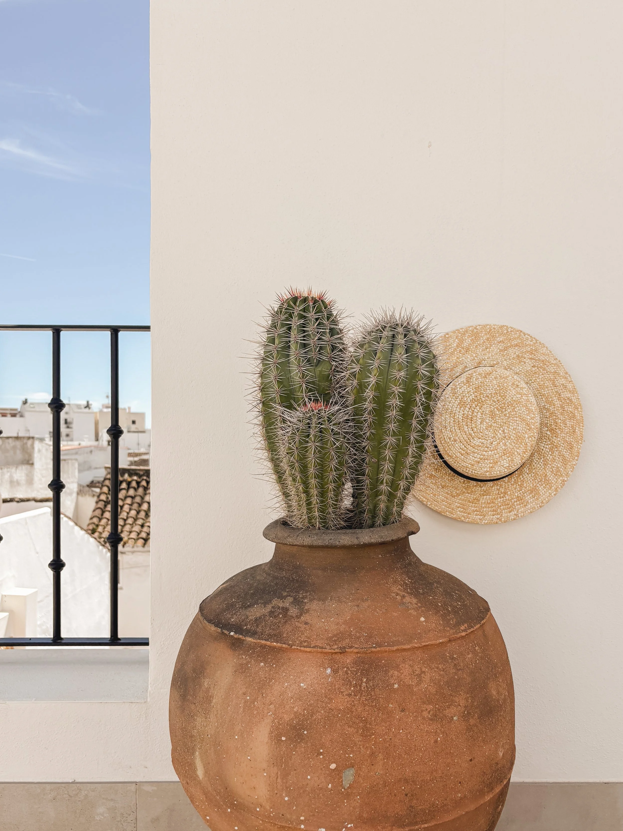 A large terracotta pot containing tall, spiky green cacti, with a straw hat hanging on the wall beside it. In the background, part of a balcony with a black metal railing and a view of white buildings and a blue sky.