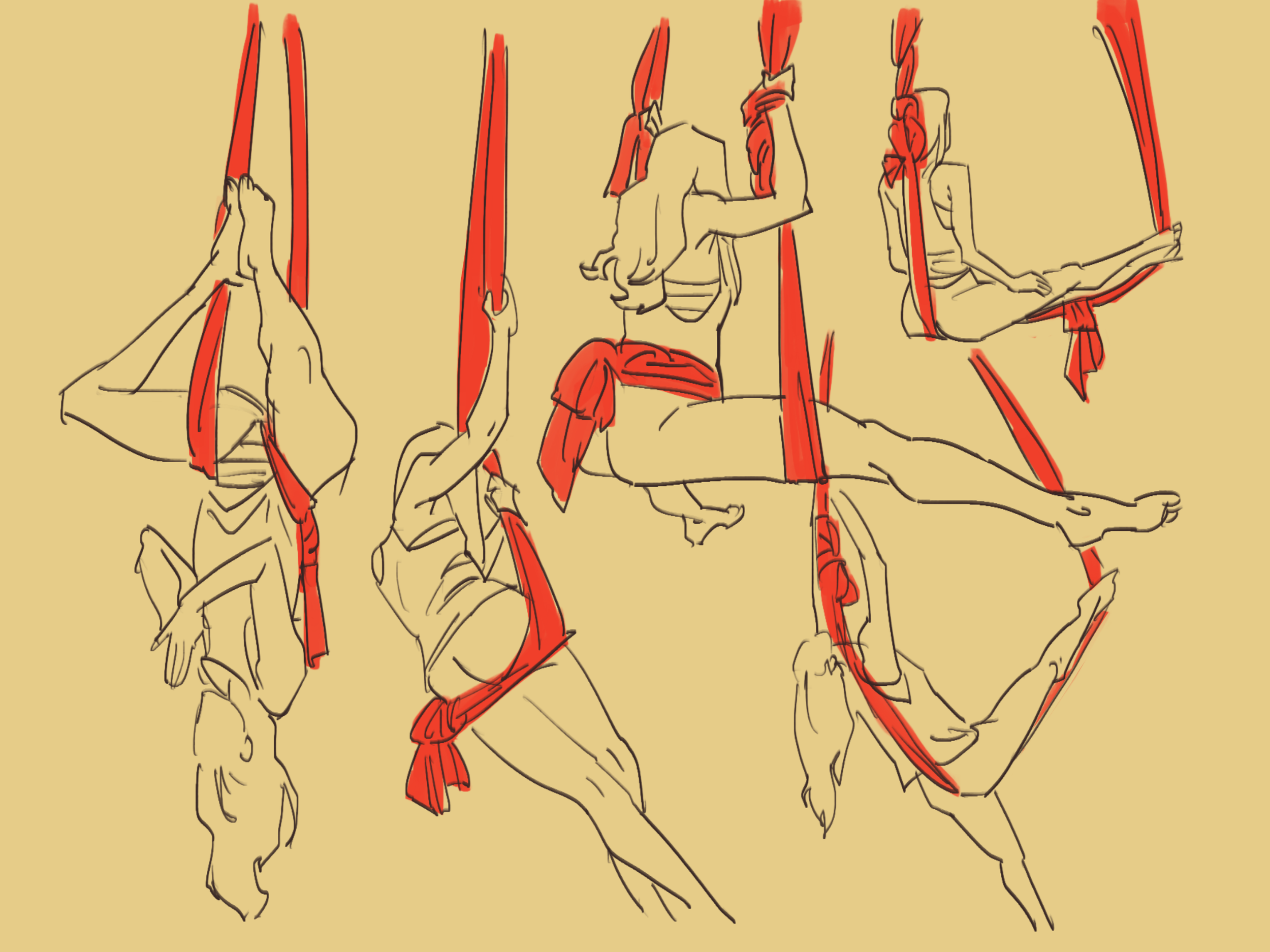 IMG_0995.png