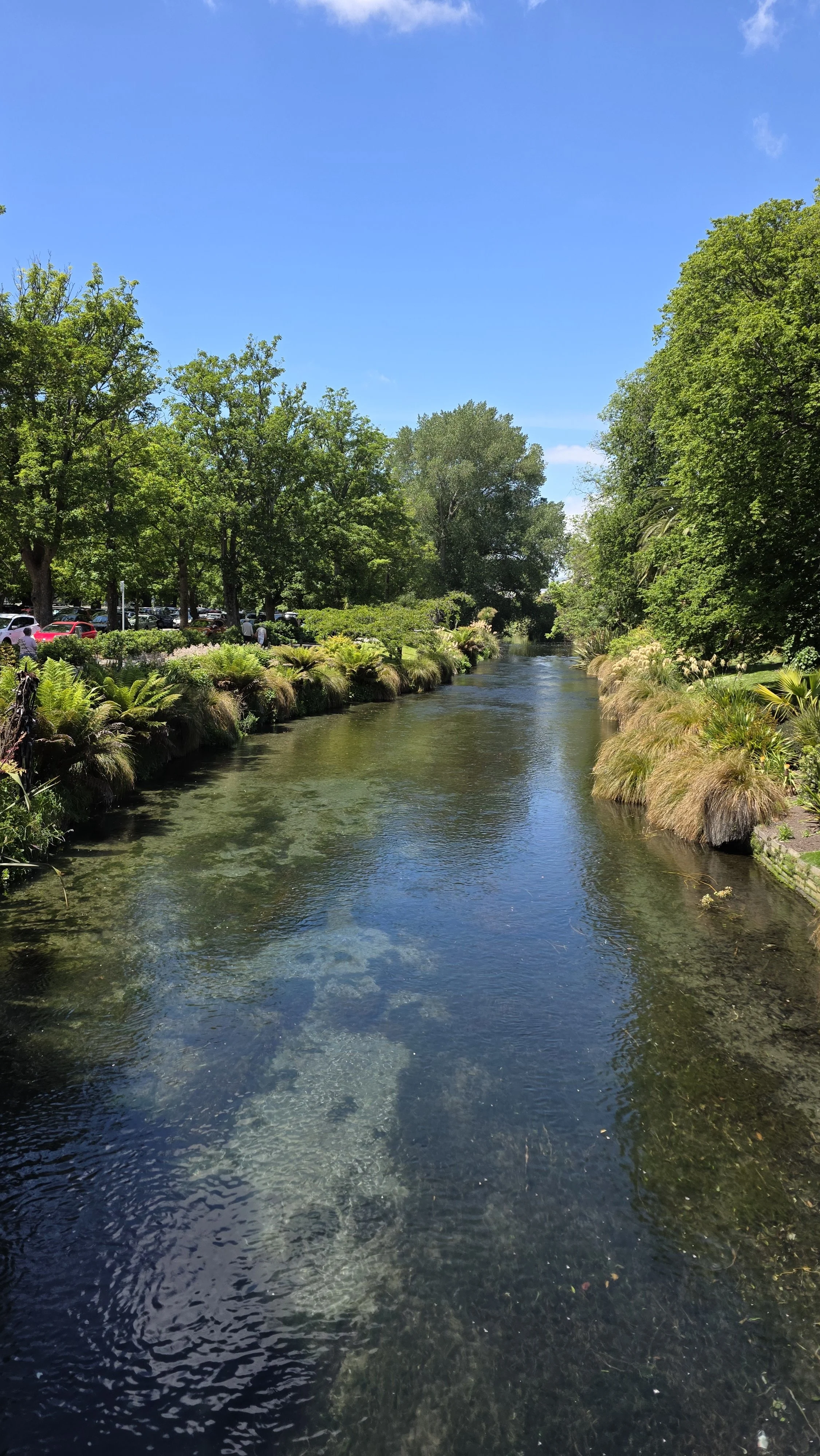 A peaceful river flowing through a lush green park with trees and plants along the banks on a sunny day.