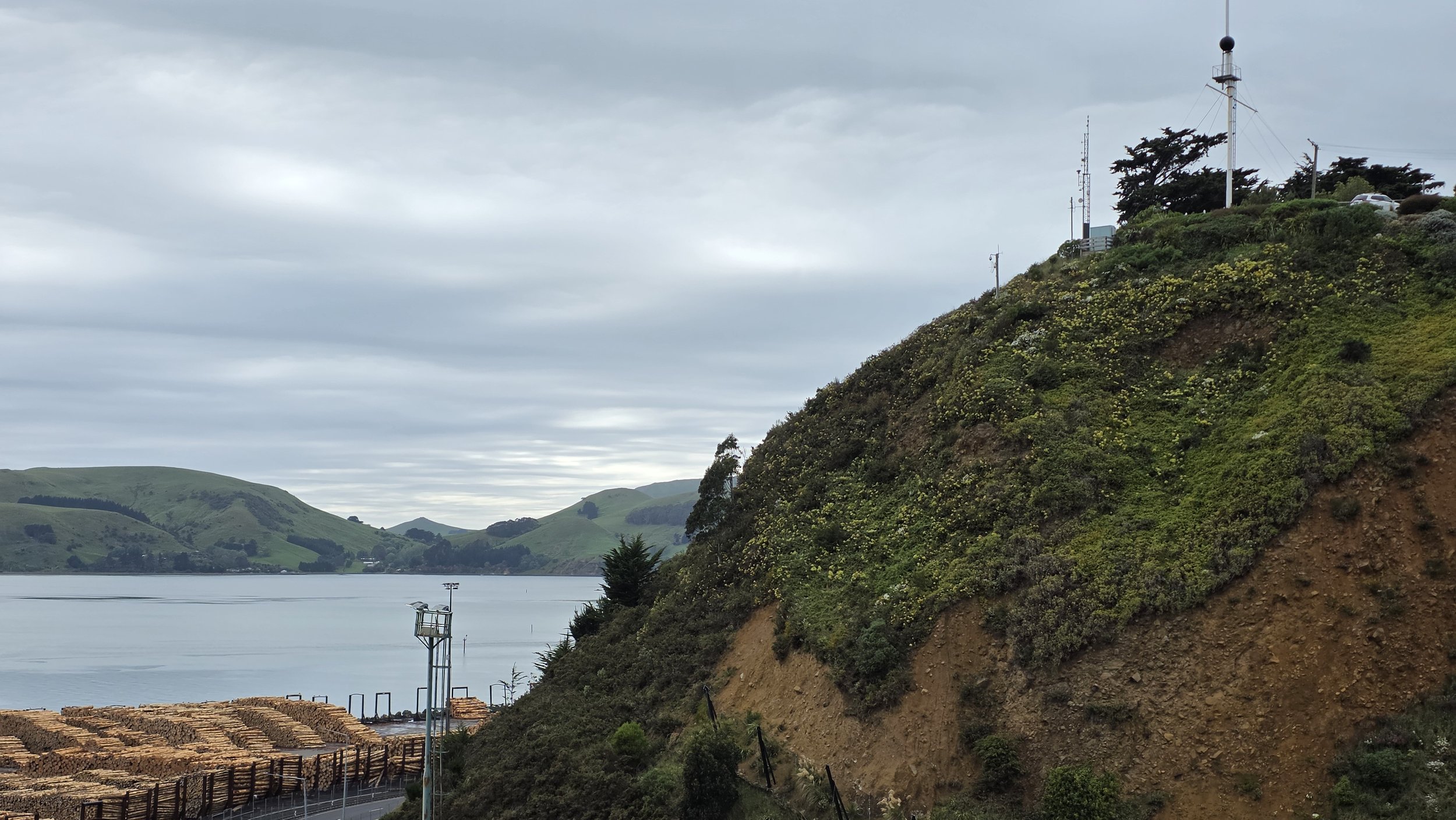 Overcast sky over a hillside with various plants, antennas, and a small road near the water's edge with stacked bricks and streetlights.