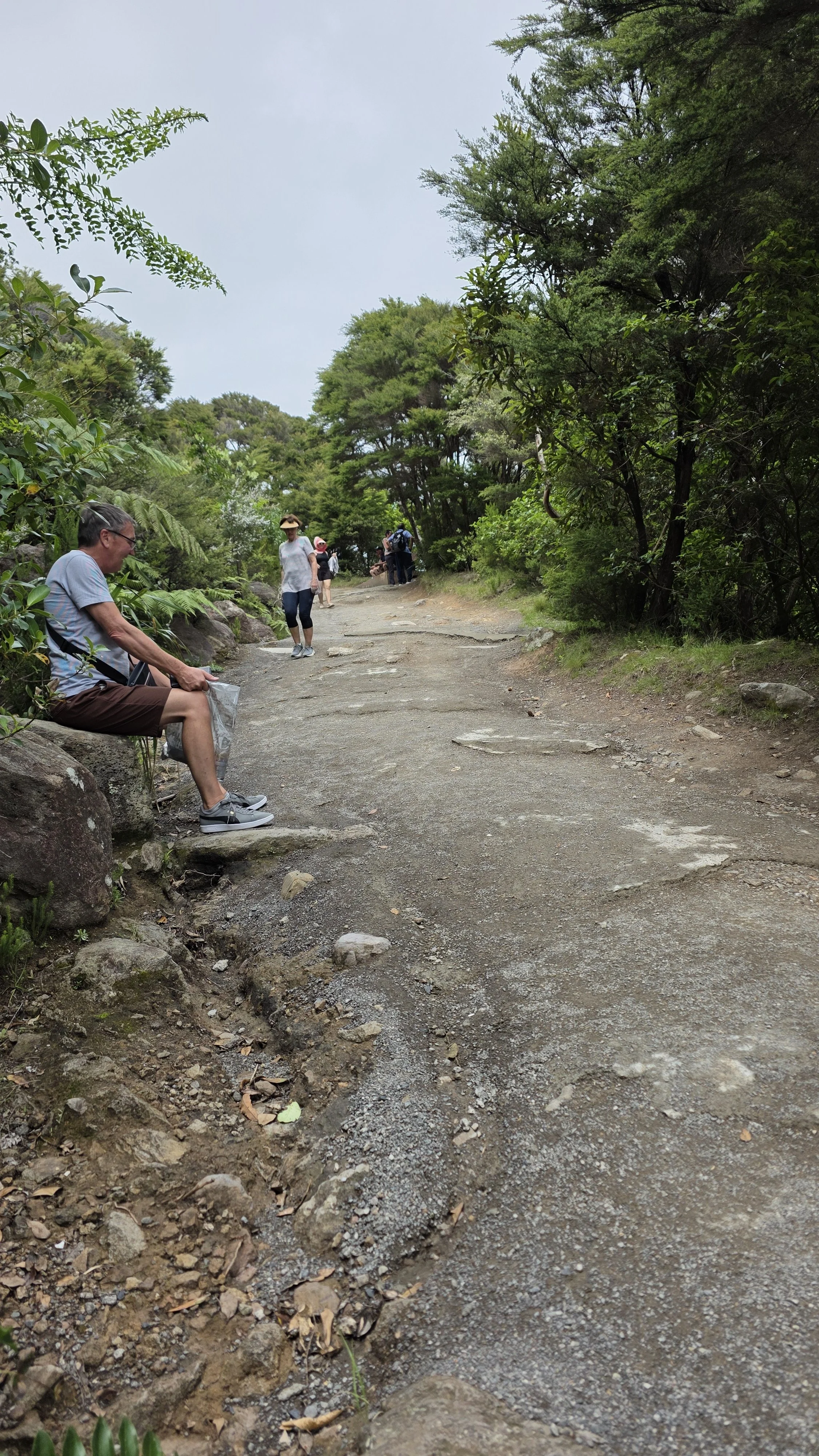 People hiking on a dirt trail surrounded by lush green trees and bushes.
