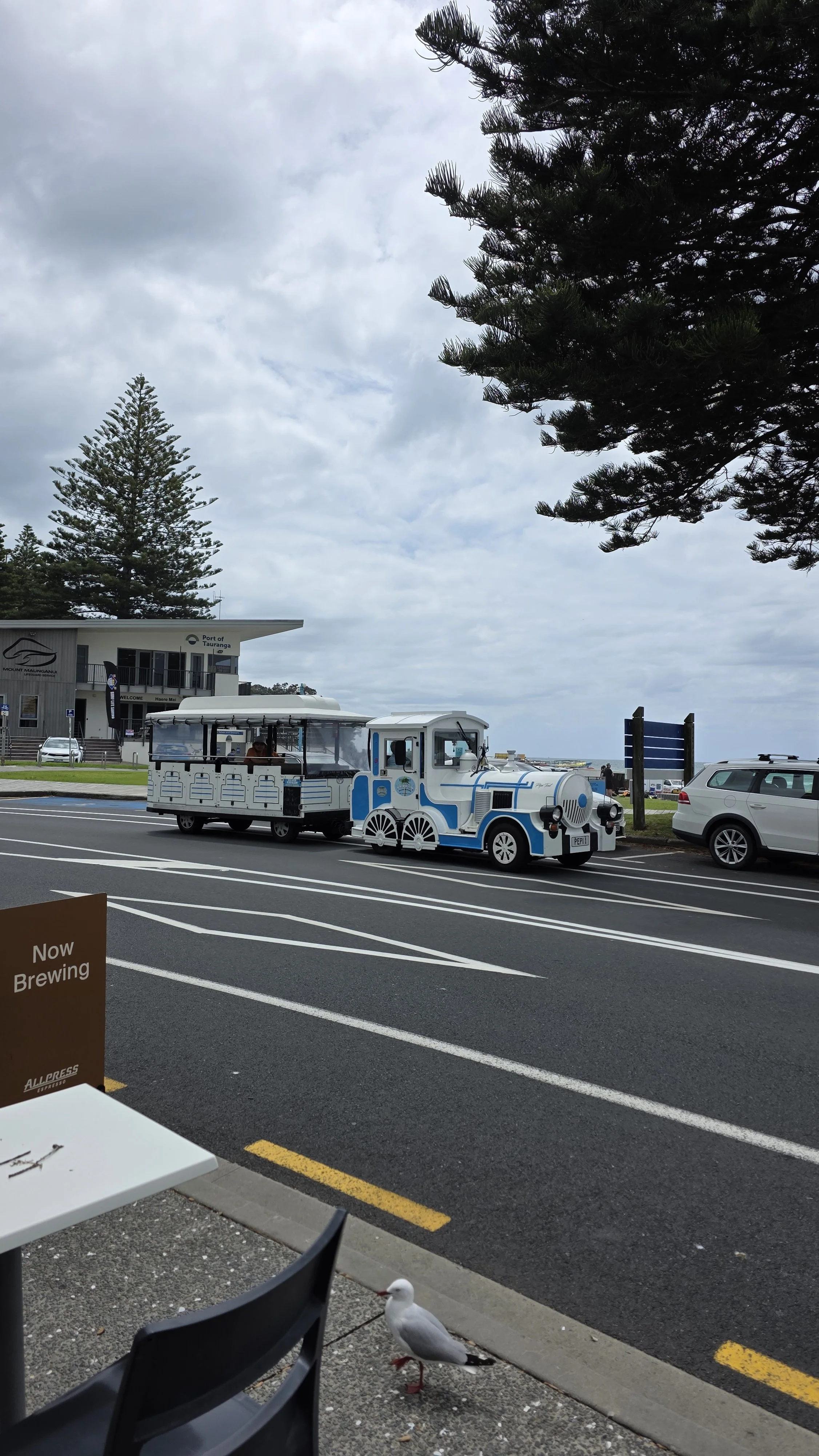 A small train-shaped vehicle painted white and blue on an urban street, with parked cars, a tree, and a building in the background, and a seagull on the sidewalk in the foreground.