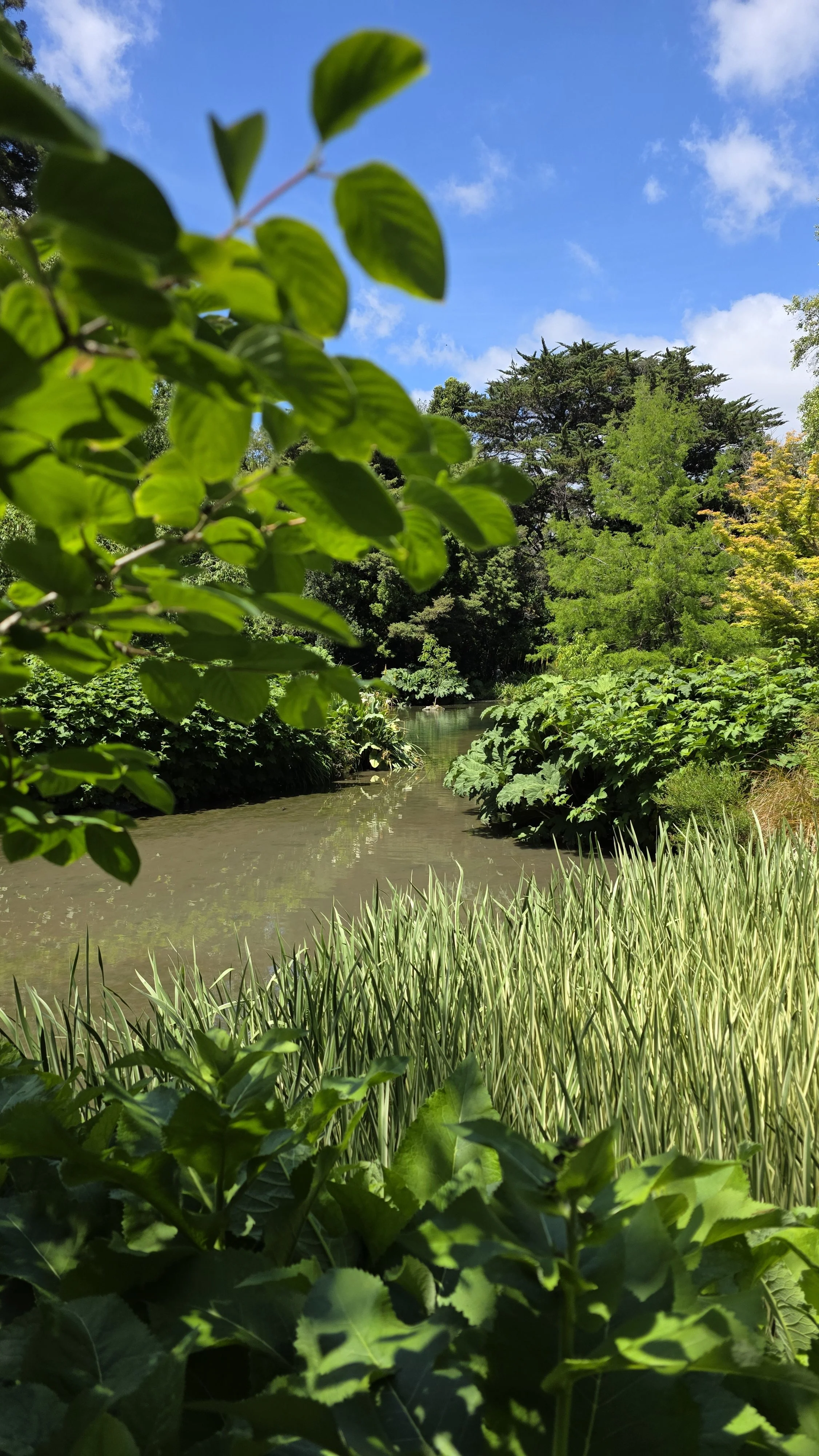 A peaceful river scene surrounded by lush green trees and shrubs under a partly cloudy blue sky.