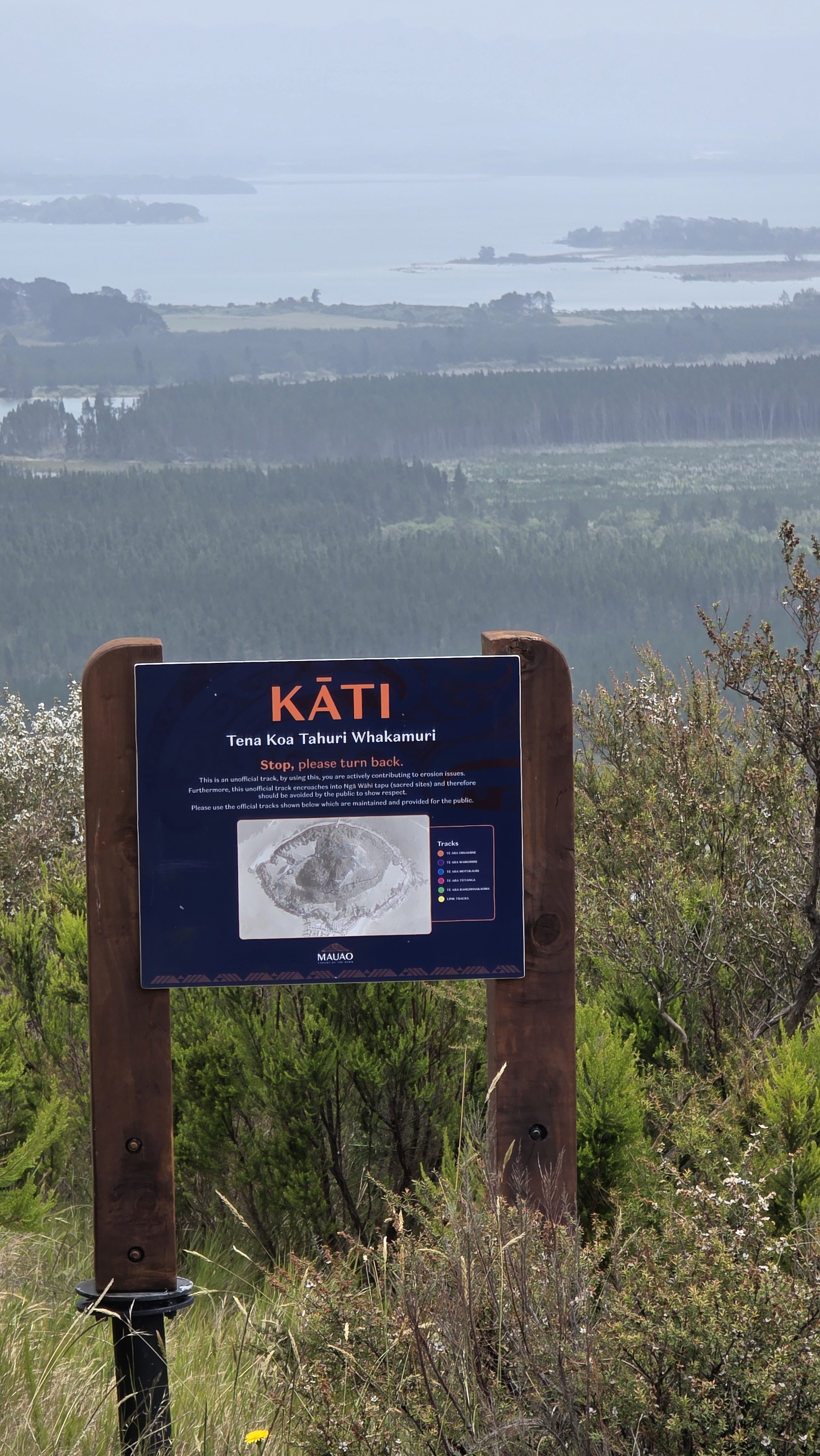 A signboard at the Kāti Tena Koa Tahuri Whakamuri with a map showing the tracks, surrounded by shrubs with a scenic view of forest, water, and islands in the distance.