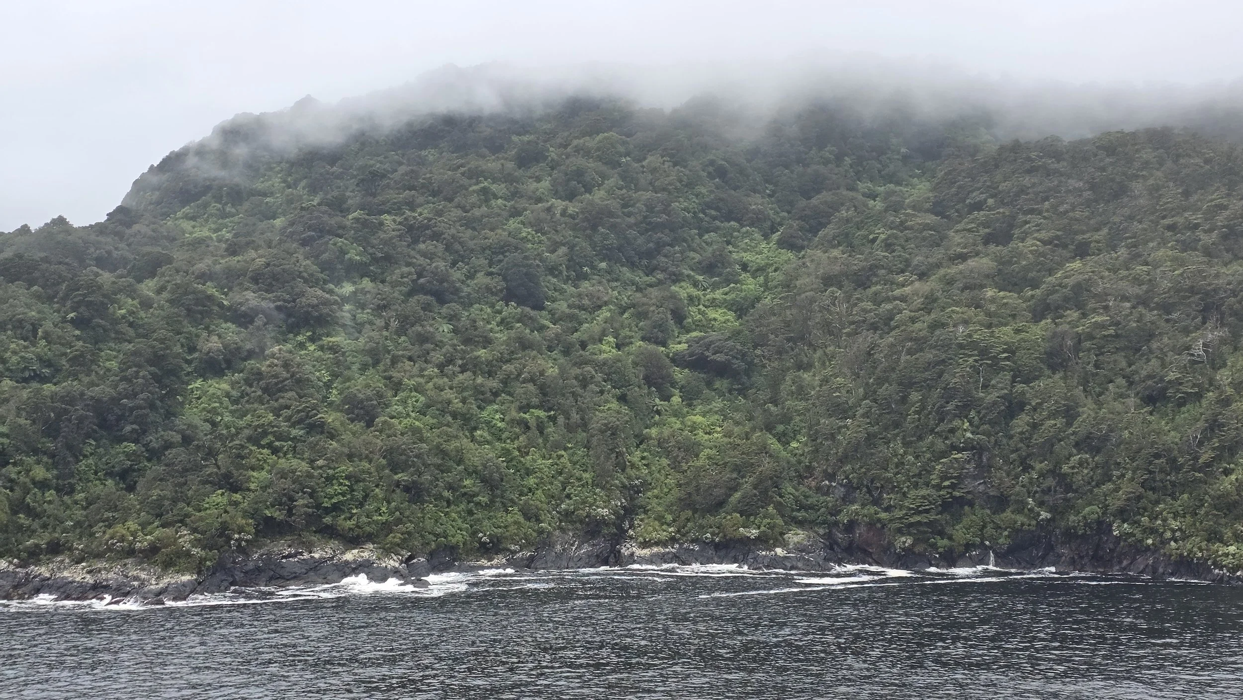 Misty green forested hillsides next to dark ocean water with gentle waves, fog covering the hilltops.