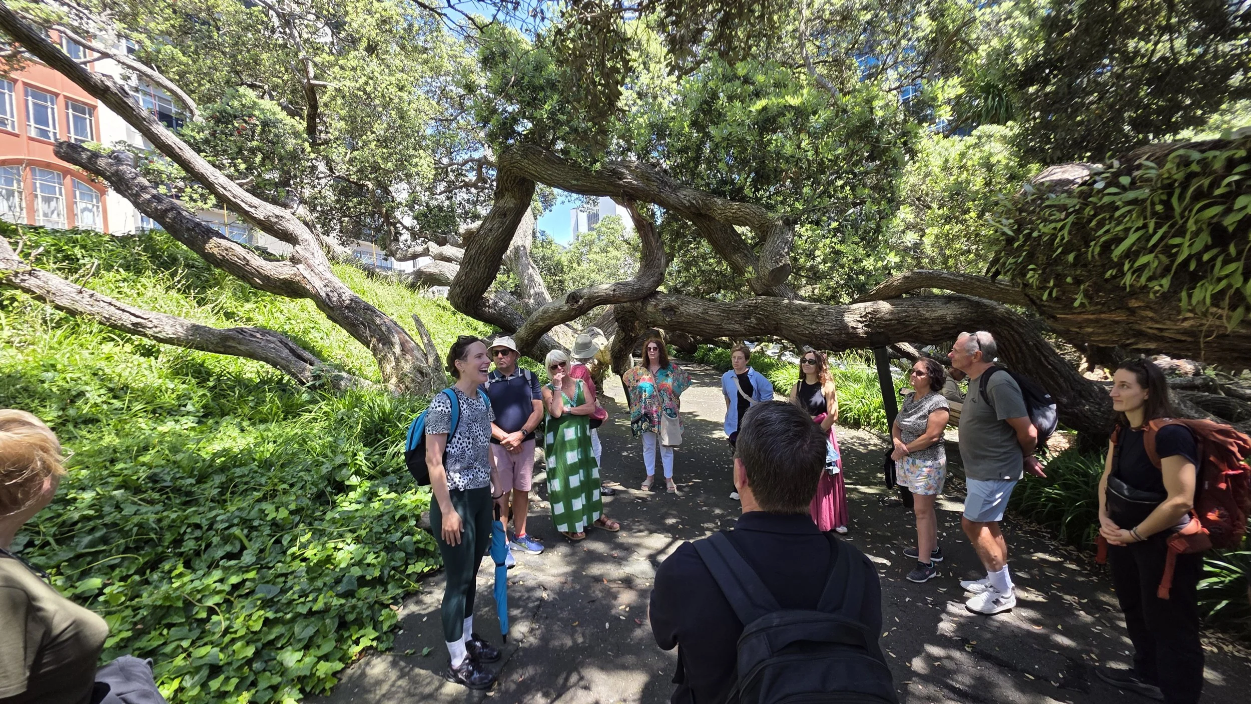 A group of people gathered outdoors under a large, twisting tree with broad branches, on a sunny day. Buildings are visible in the background.