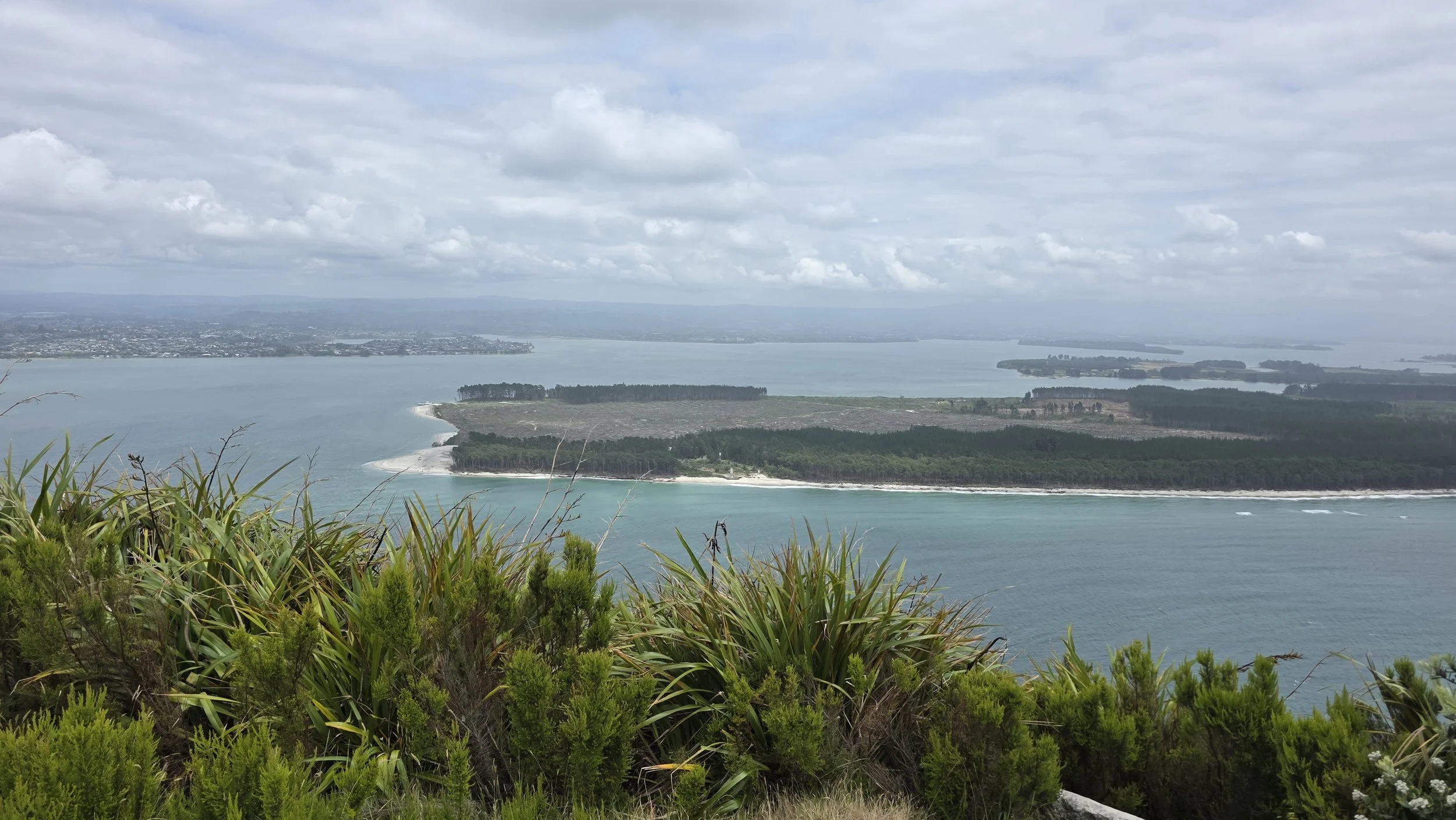 A scenic view of a large body of water with an island covered in trees in the foreground. In the background, there are more bodies of water, landmasses, and a cloudy sky.