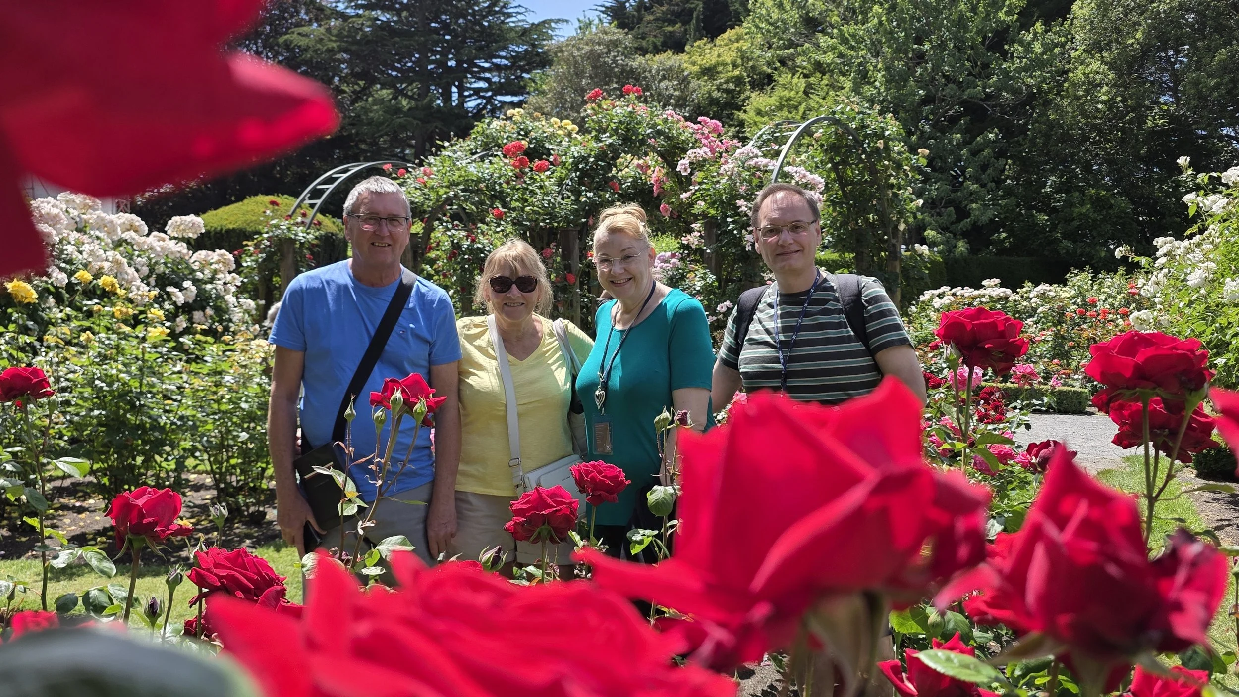 Four people standing in a garden full of colorful roses, smiling at the camera on a sunny day.