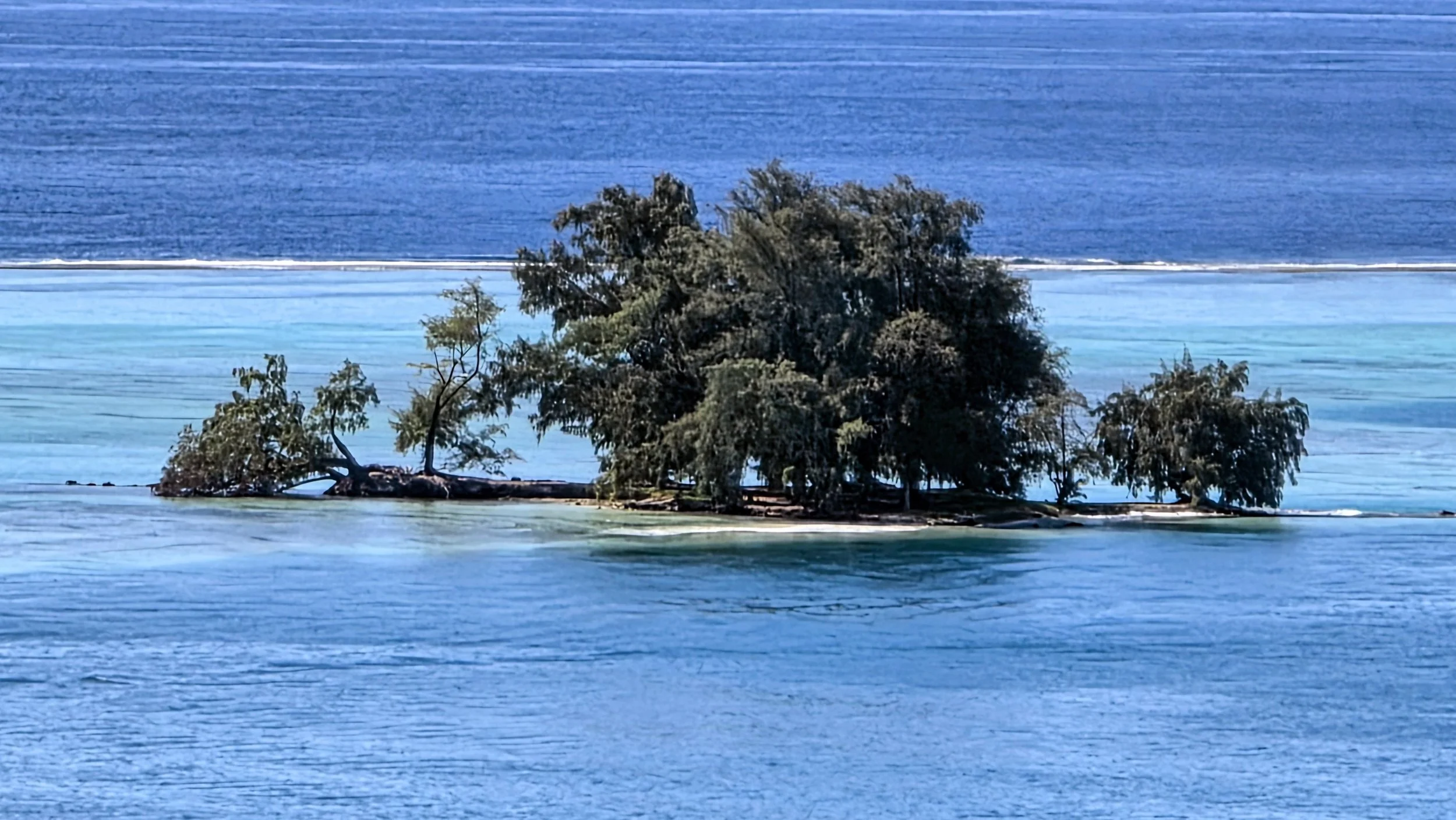 20260424_093756~2.jpg