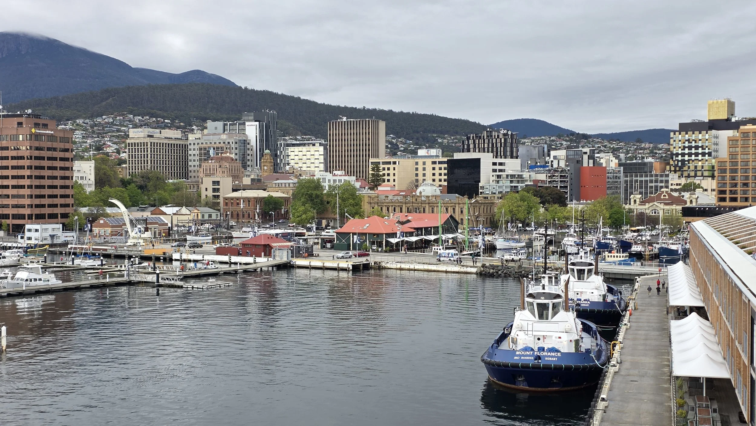 City skyline with mountains in the background, waterfront with boats, and buildings of various heights and colors.