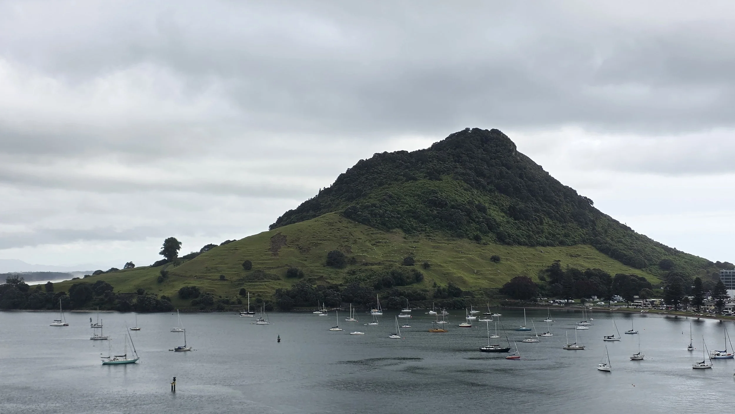 A scenic view of a large hill with lush green vegetation and trees, next to a body of water with numerous sailboats anchored, under a cloudy sky.