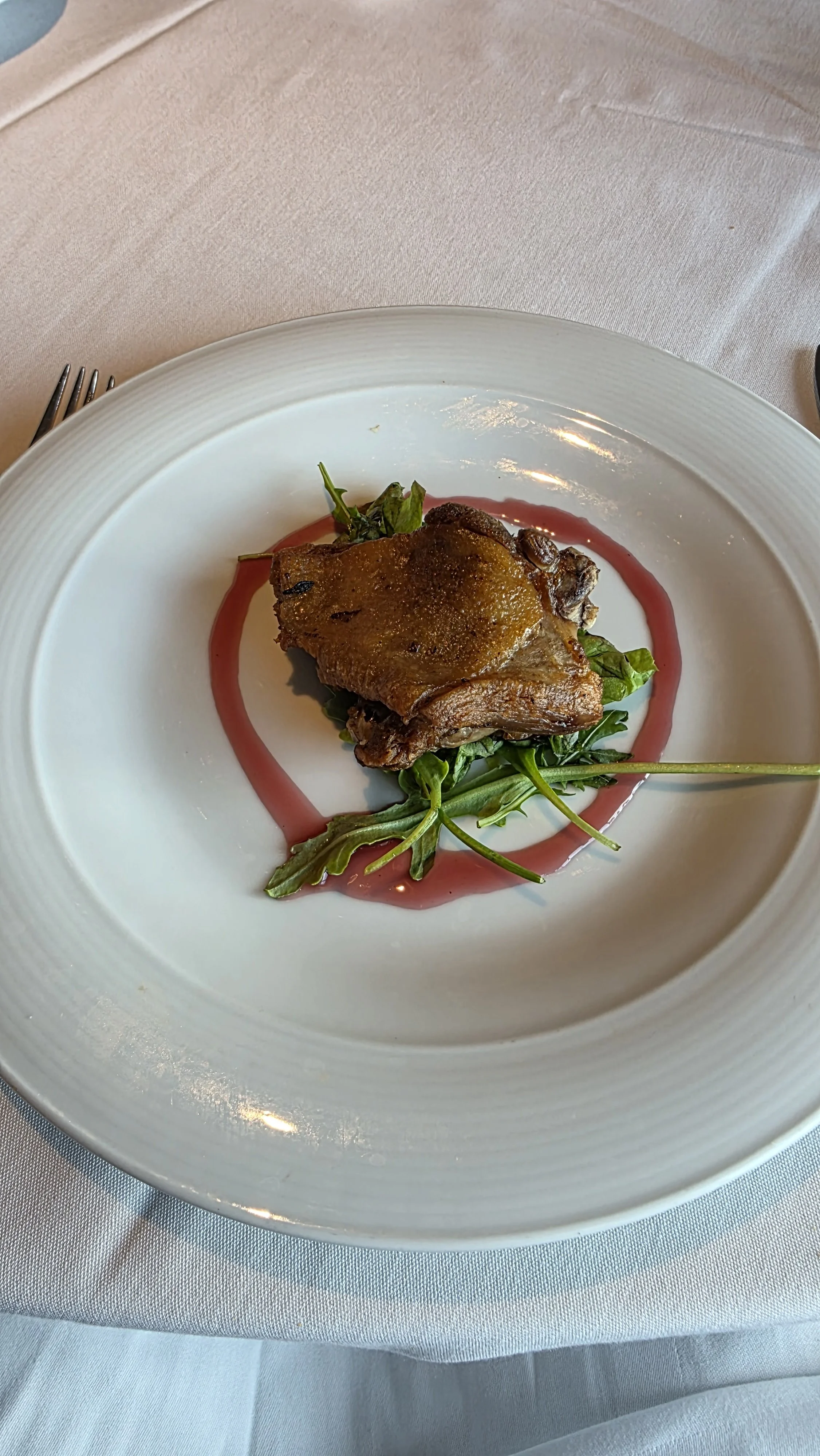 A plated gourmet dish featuring a cooked piece of meat on bed of greens, garnished with a red sauce drizzle.