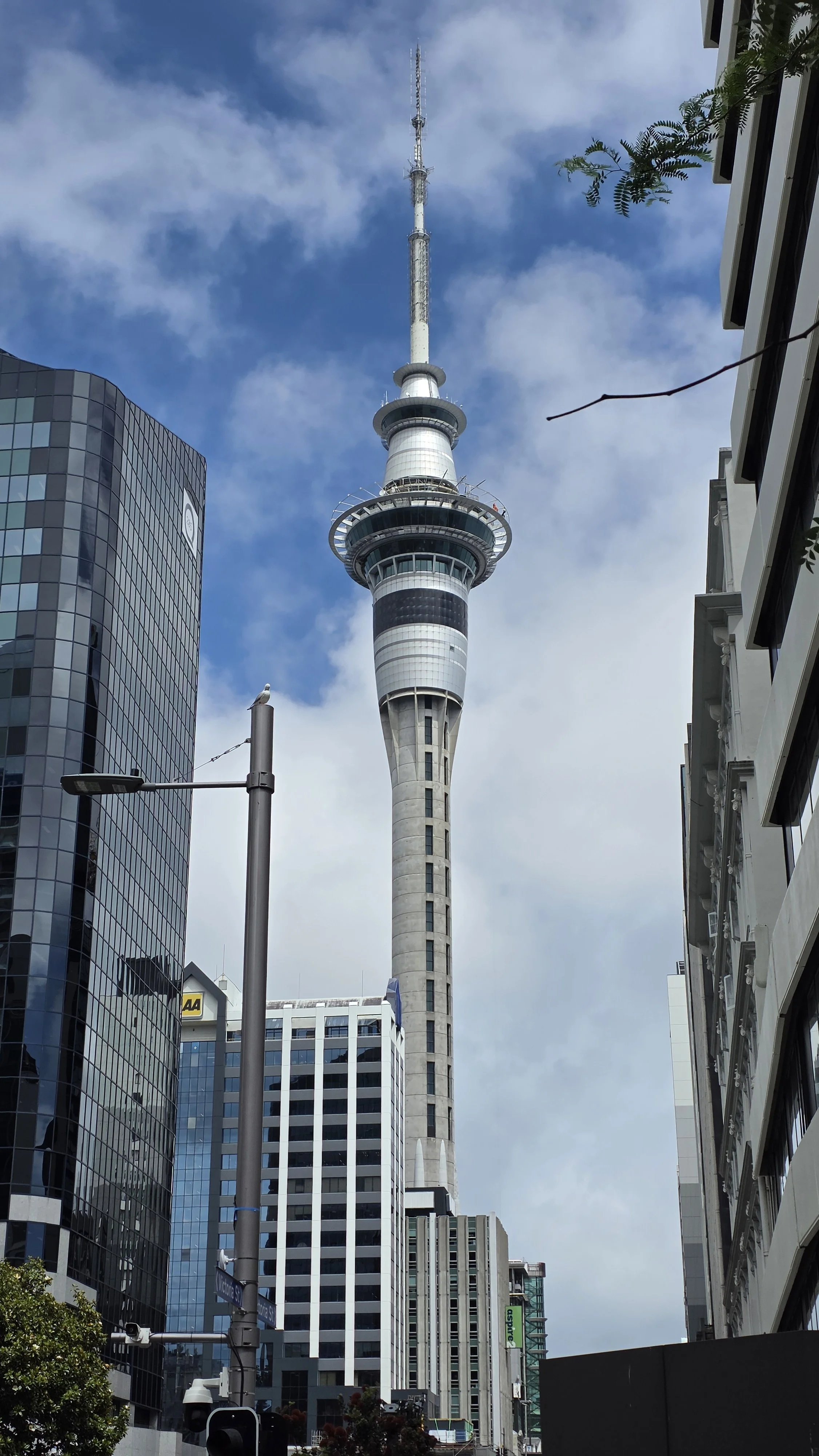 Sky Tower in Auckland, New Zealand, surrounded by modern office buildings and a street lamp, with a partly cloudy sky in the background.