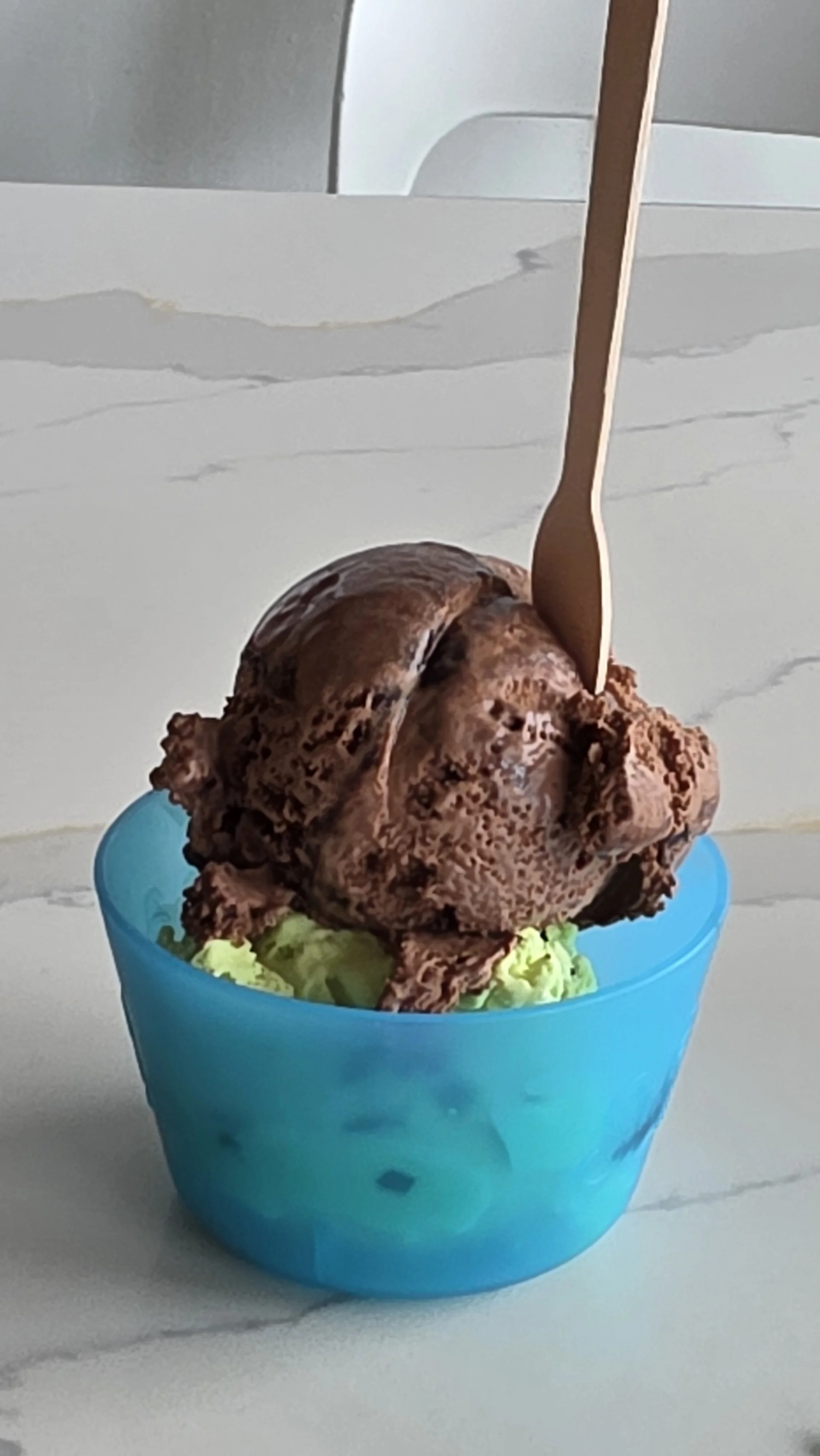 A bowl of ice cream with a scoop of chocolate ice cream on top, a wooden spoon inserted into the ice cream, and some green ice cream at the bottom.